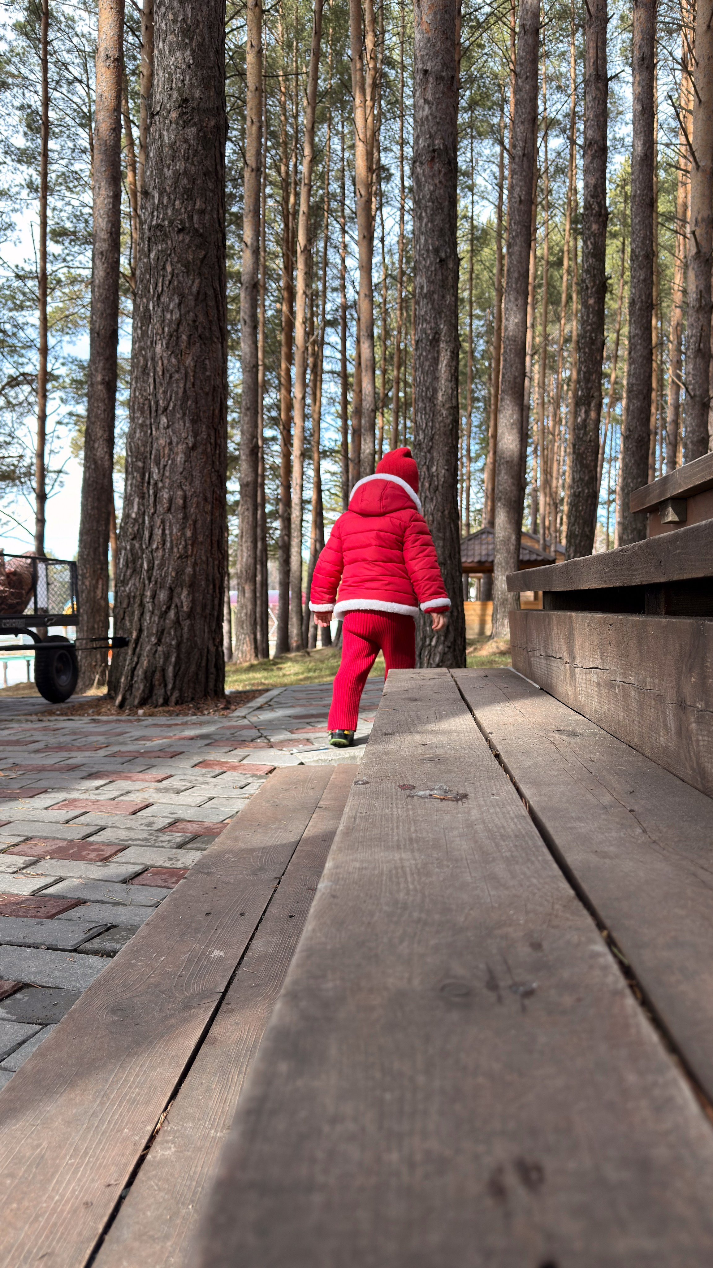 Семейный день рождения. Фотограф-Видеограф Первоуральск, Екатеринбург Бондырева Юлия
