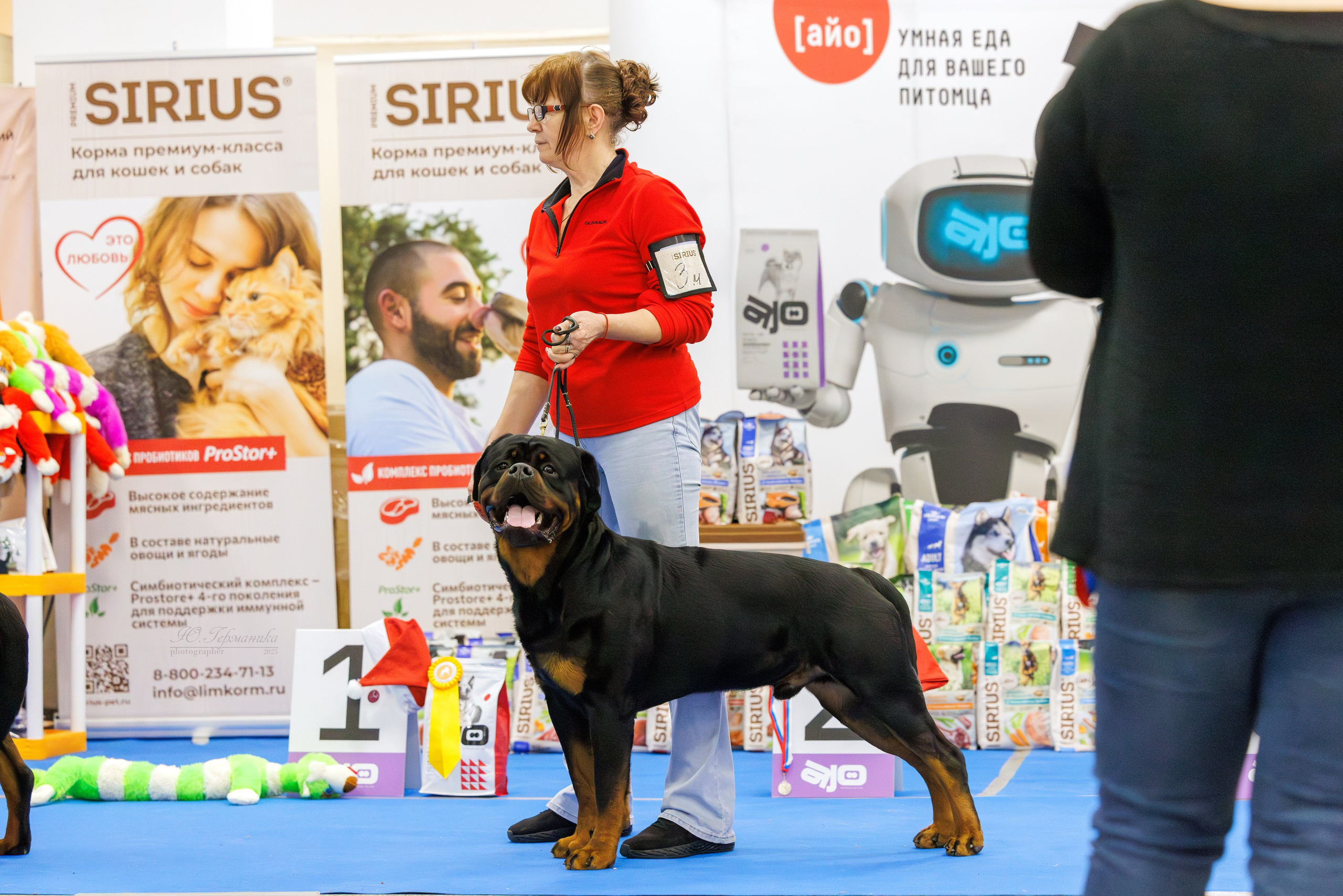 Питер ротвейлеры 18.01,Крокус 19.01.2025. Фотограф-анималист Юлия Германика