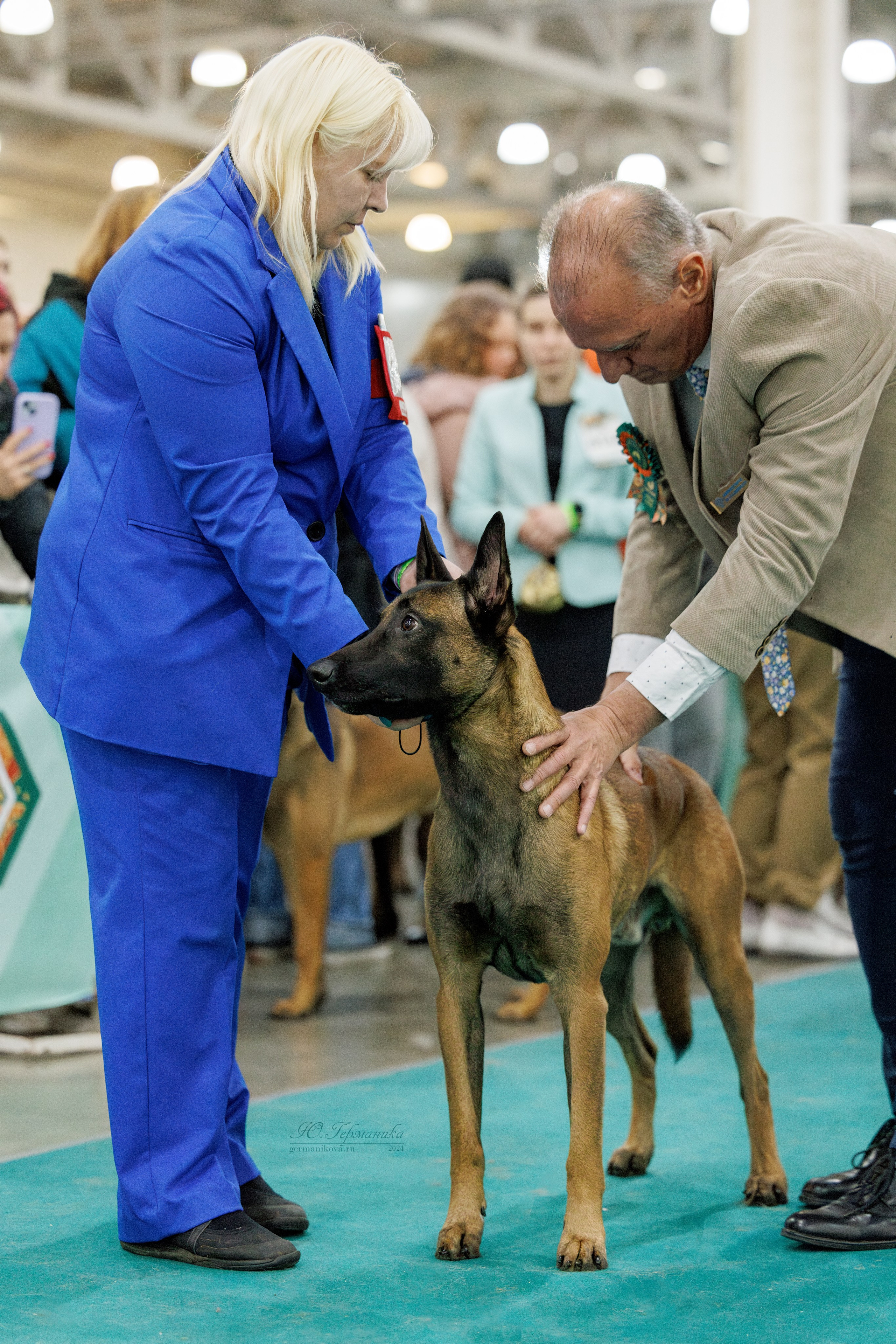 Евразия 16-17.11.2024. Фотограф-анималист Юлия Германика