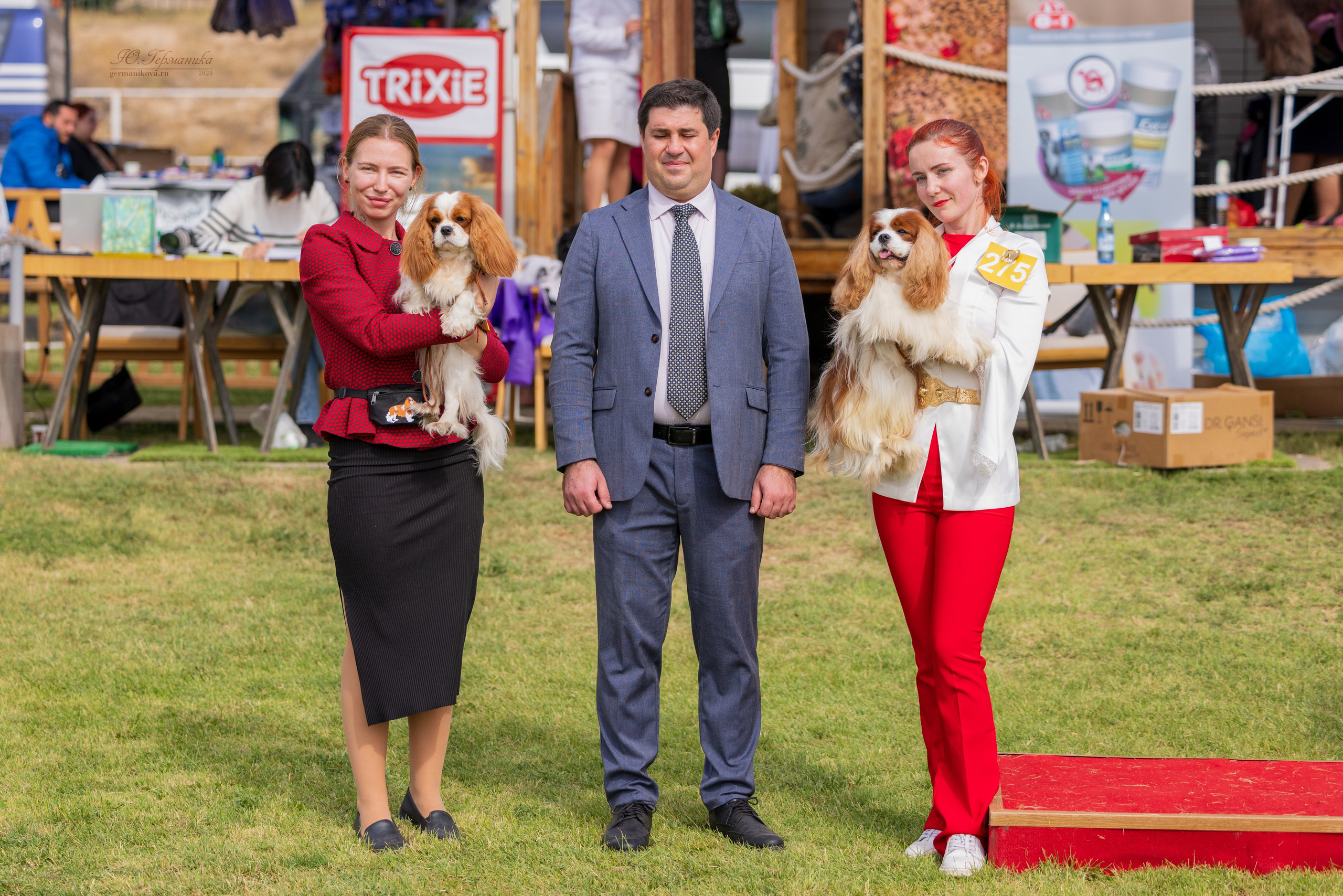 Армения,Ереван 3хCACIB 15-17.10.2024. Фотограф-анималист Юлия Германика