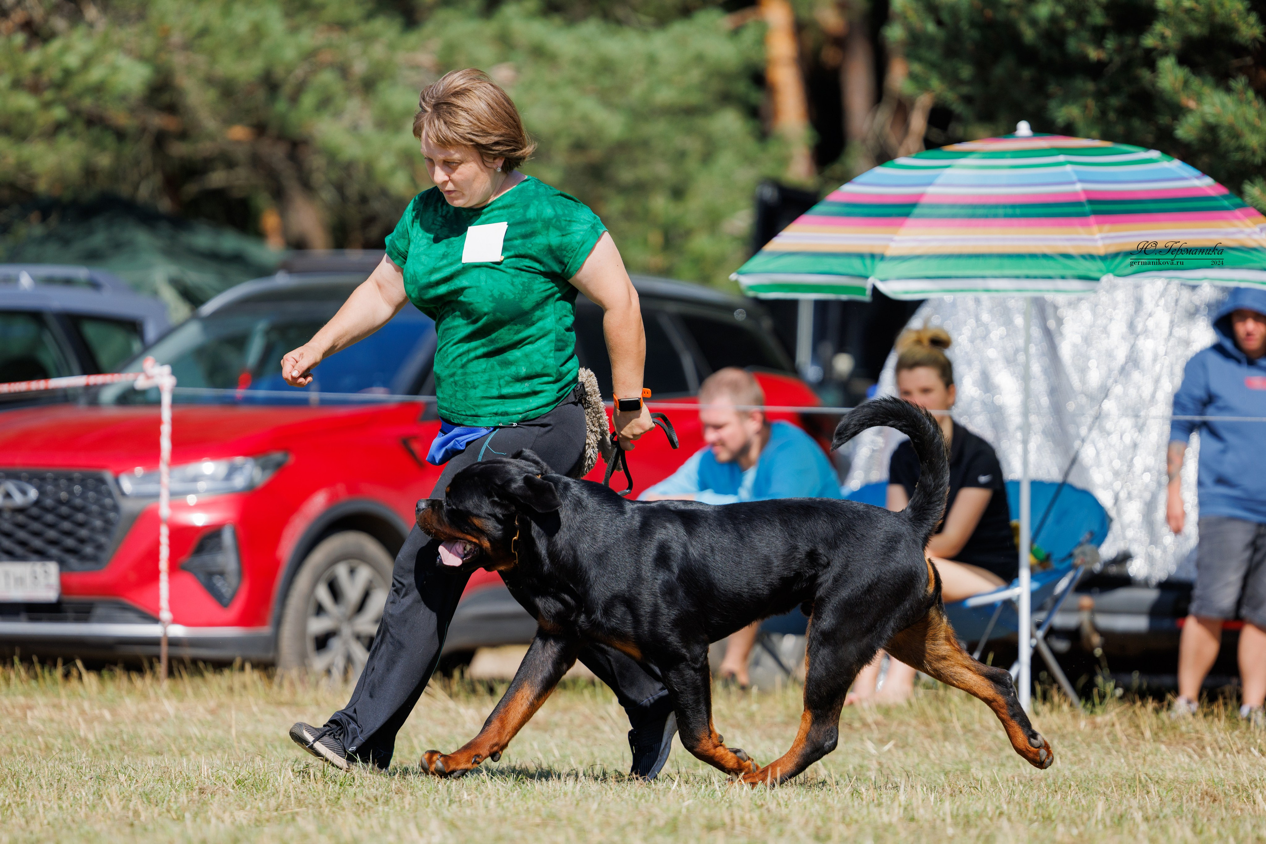 ПК и КЧК ротвейлеры Тверь 6-7.07.2024. Фотограф-анималист Юлия Германика