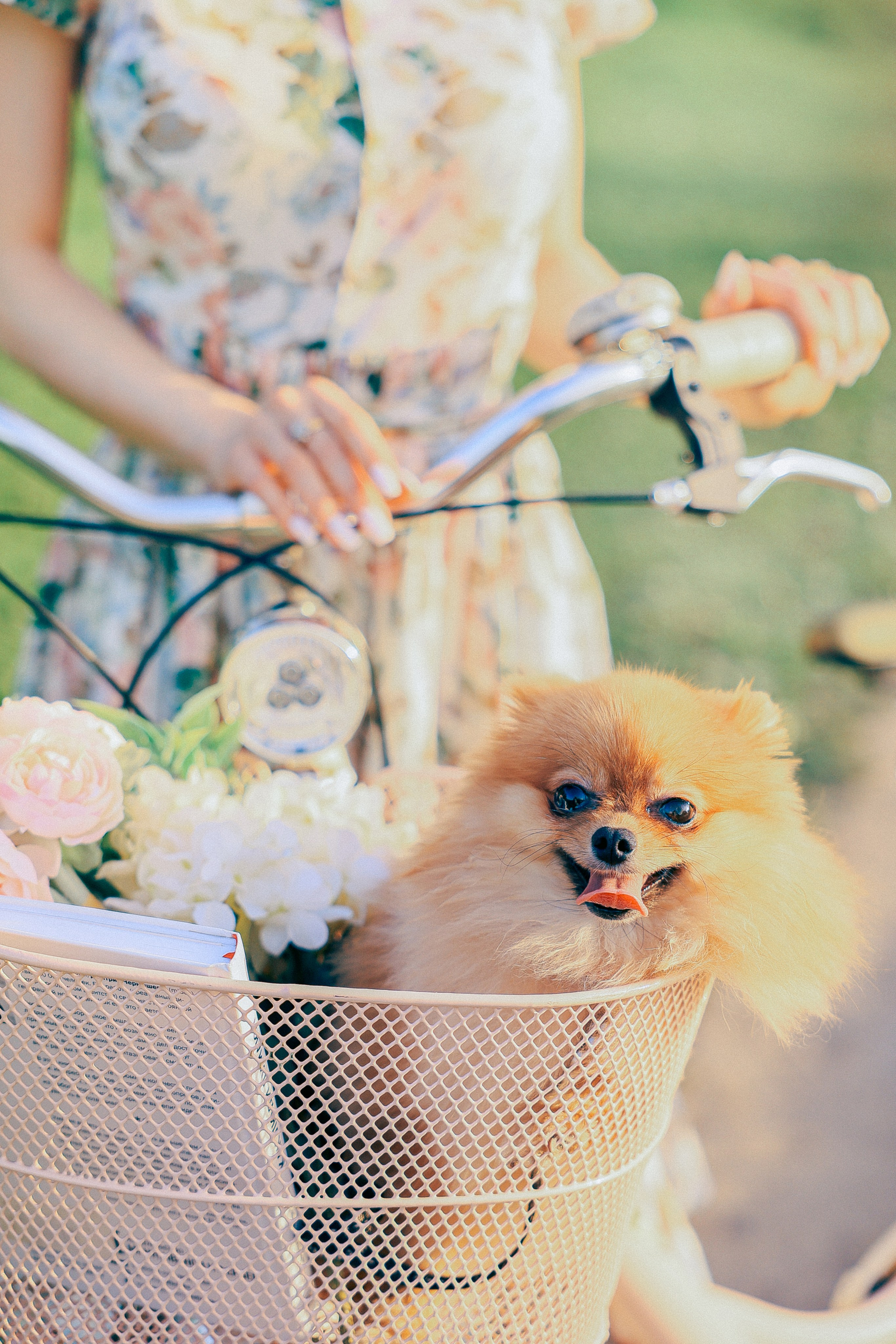Портретный фотогараф Москва цветение. Фотограф Москва — Павел Михайлов
