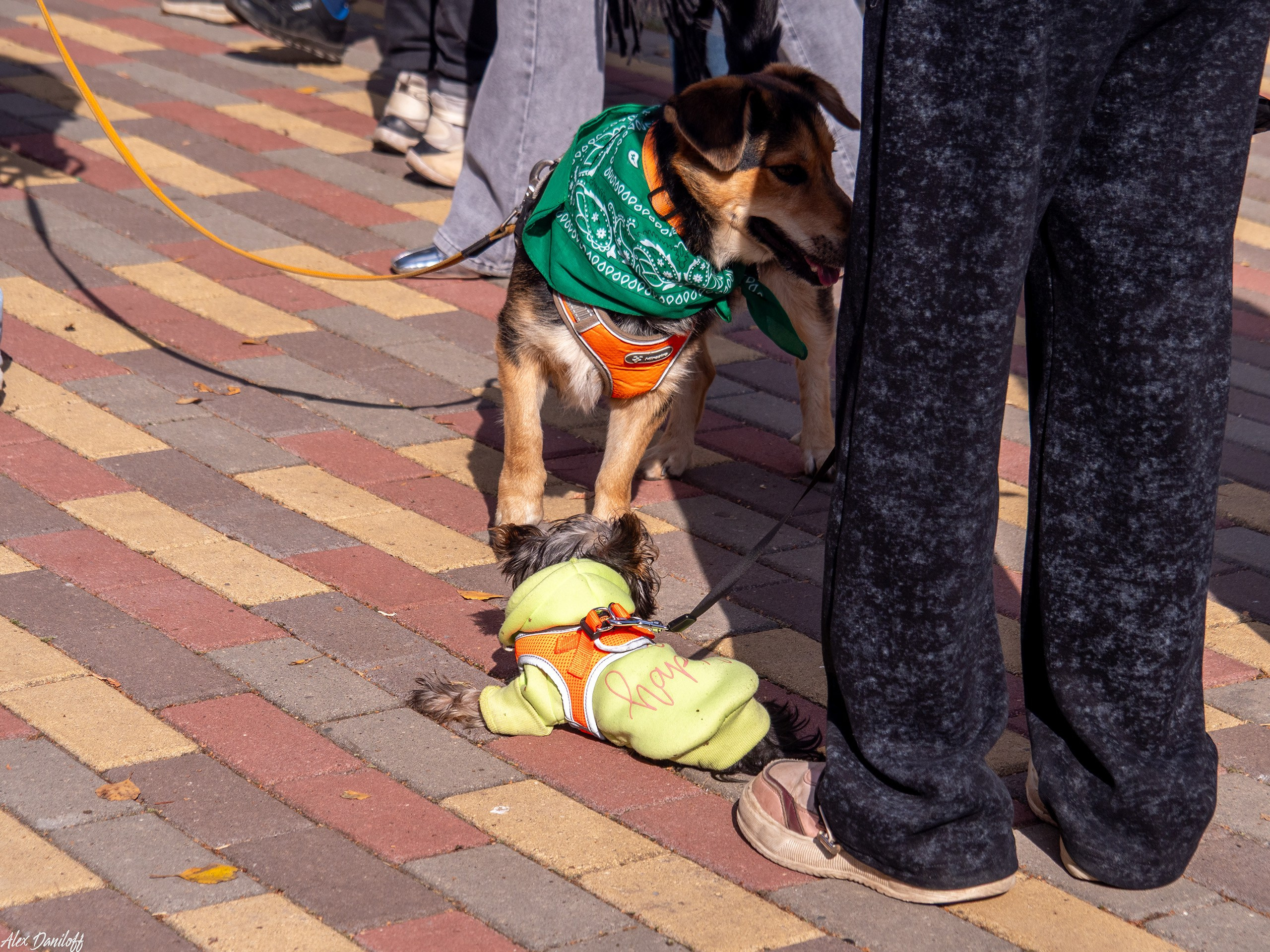 Обнимака 2025. Муром-Инфо. Новости культуры, образования, спорта в городе Муром