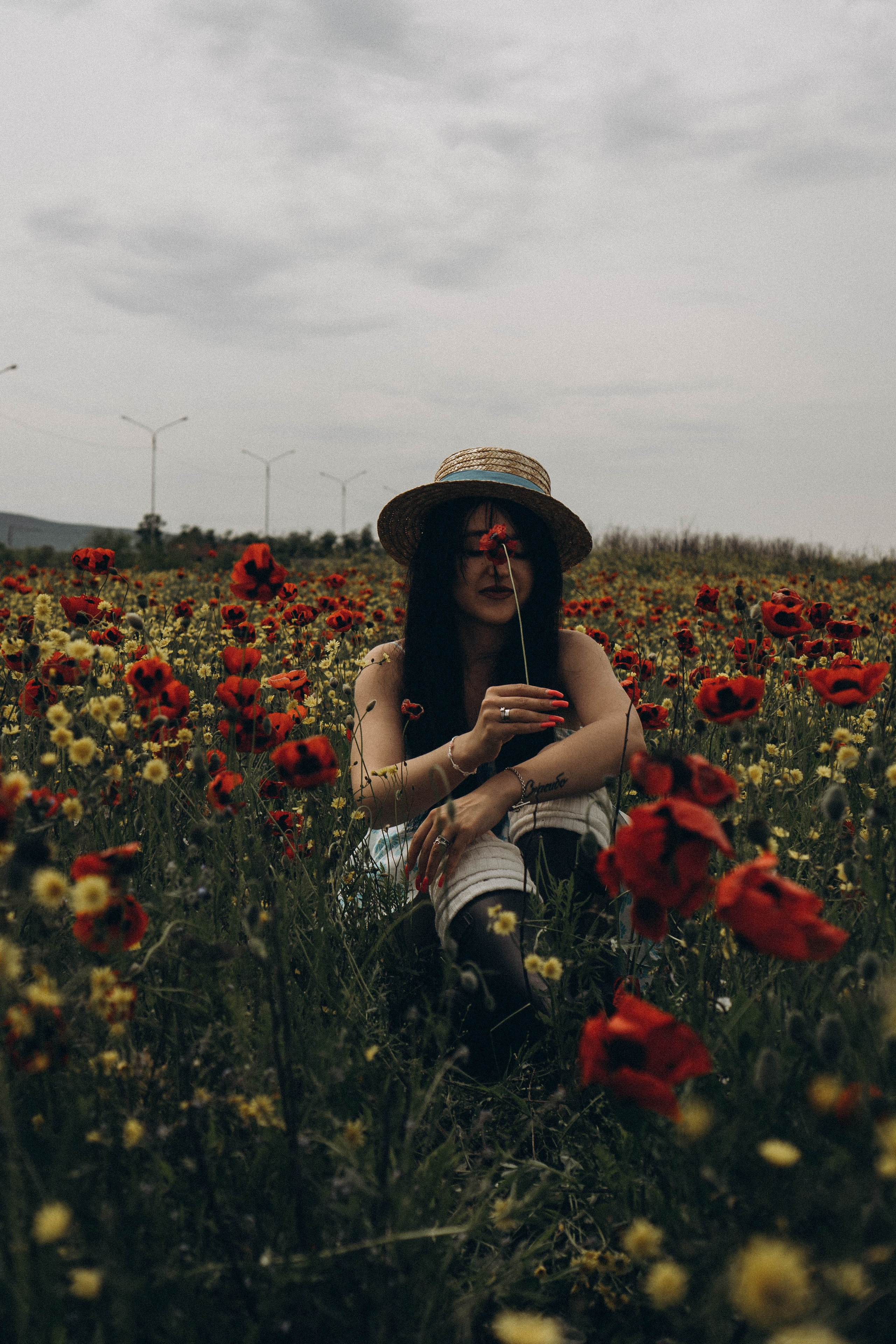 Цветочная поляна. Профессиональный фотограф, Санкт-Петербург — Виктория Богомолова