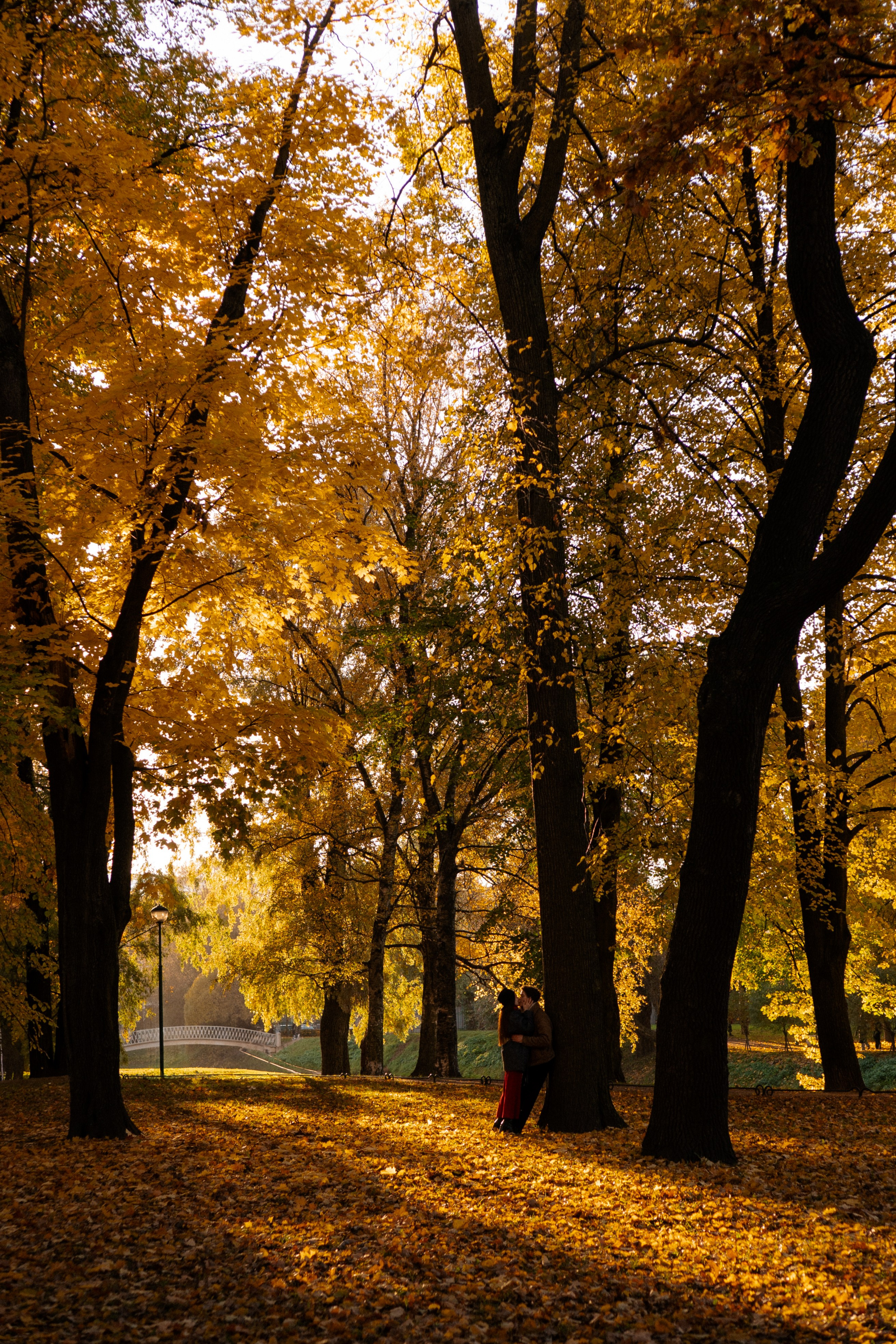 ОСЕННЯЯ ПРОГУЛКА. Профессиональный фотограф, Санкт-Петербург — Виктория Богомолова