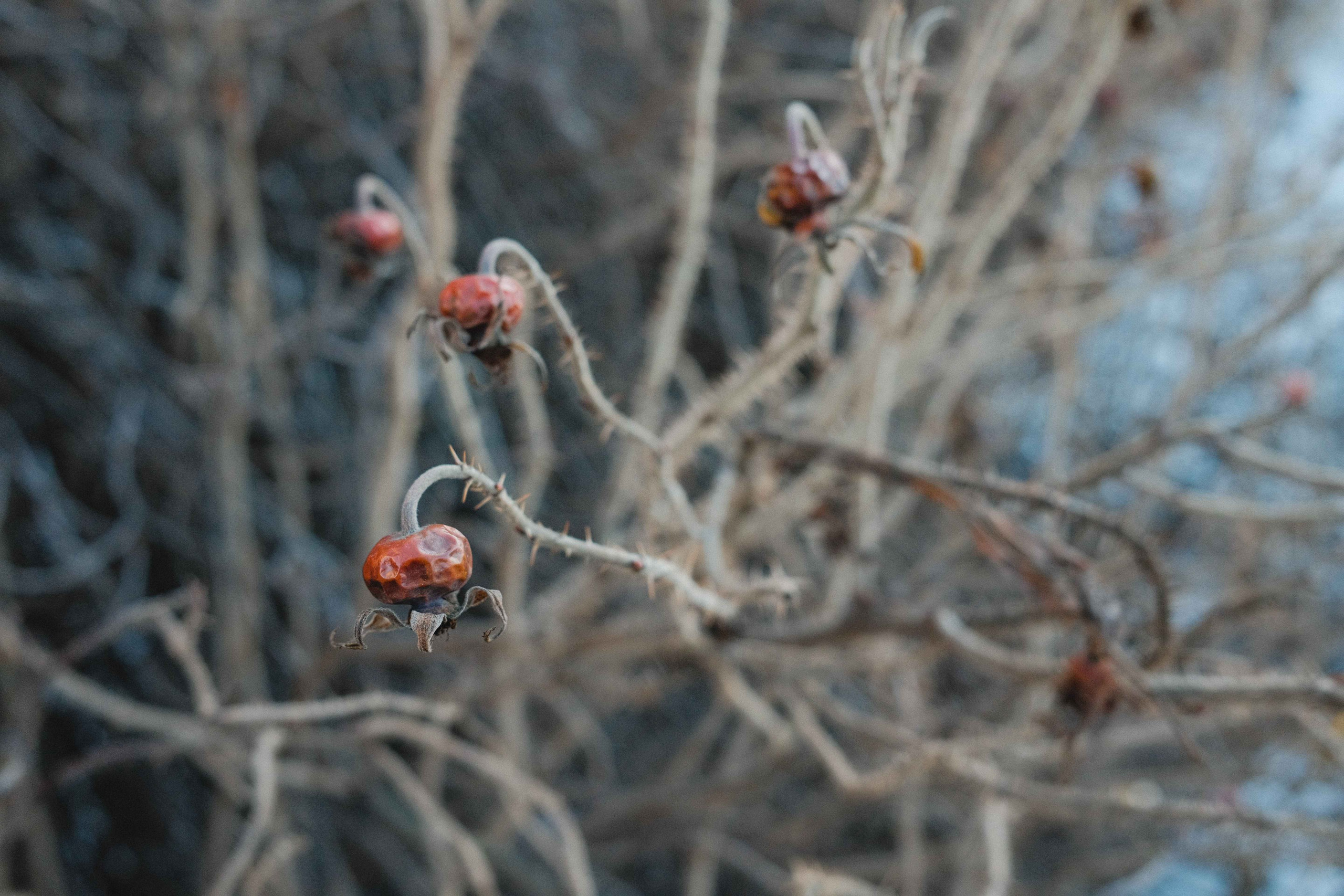 2023.01. Фотограф Алексей Алексеев