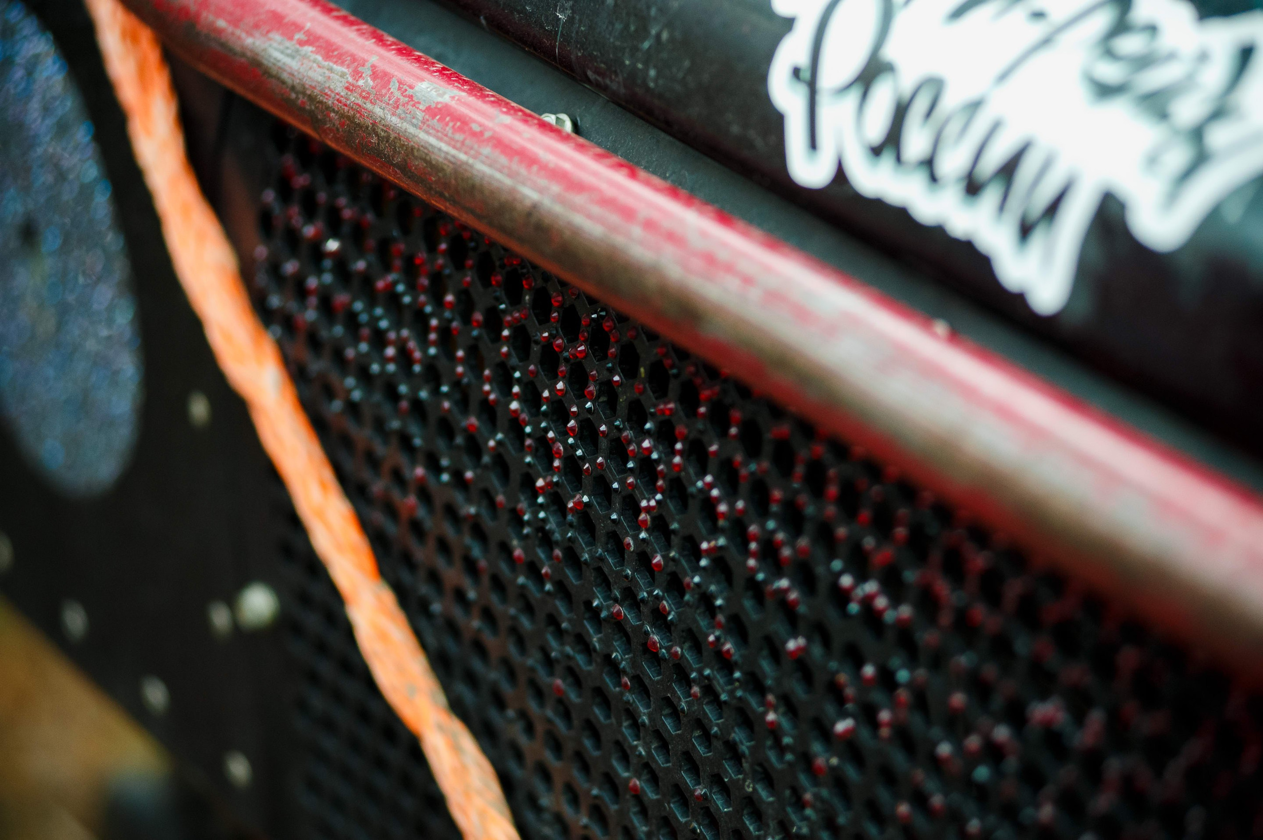 Кубок СПб по трофи-рейдам 04-06.10.2024 — базлаг, АП и ТИ. Фотограф Алексей Алексеев