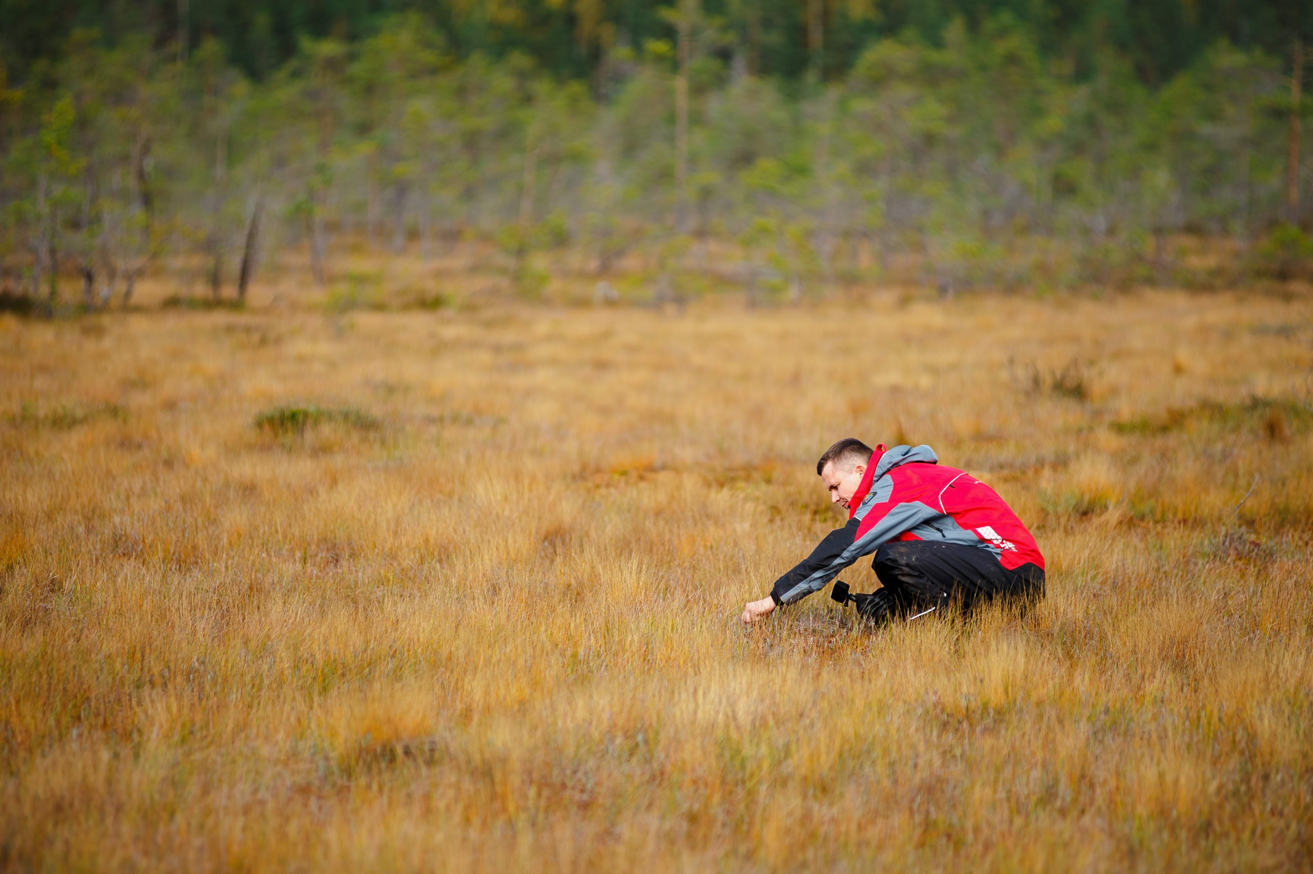 Кубок СПб по трофи-рейдам 04-06.10.2024 — день 1. Фотограф Алексей Алексеев