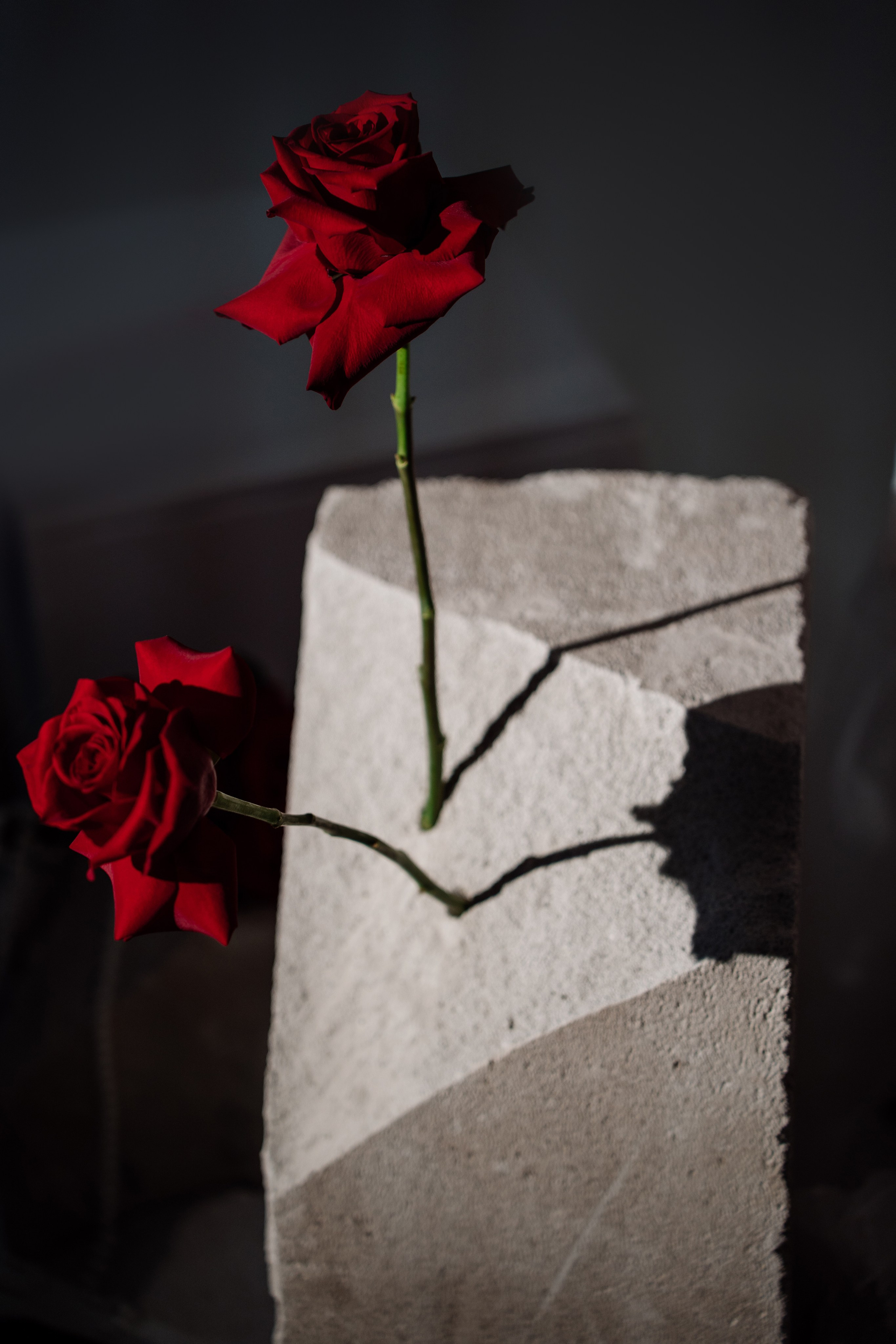 RED. Свадебный фотограф Тольятти Москва Адамова Виктория