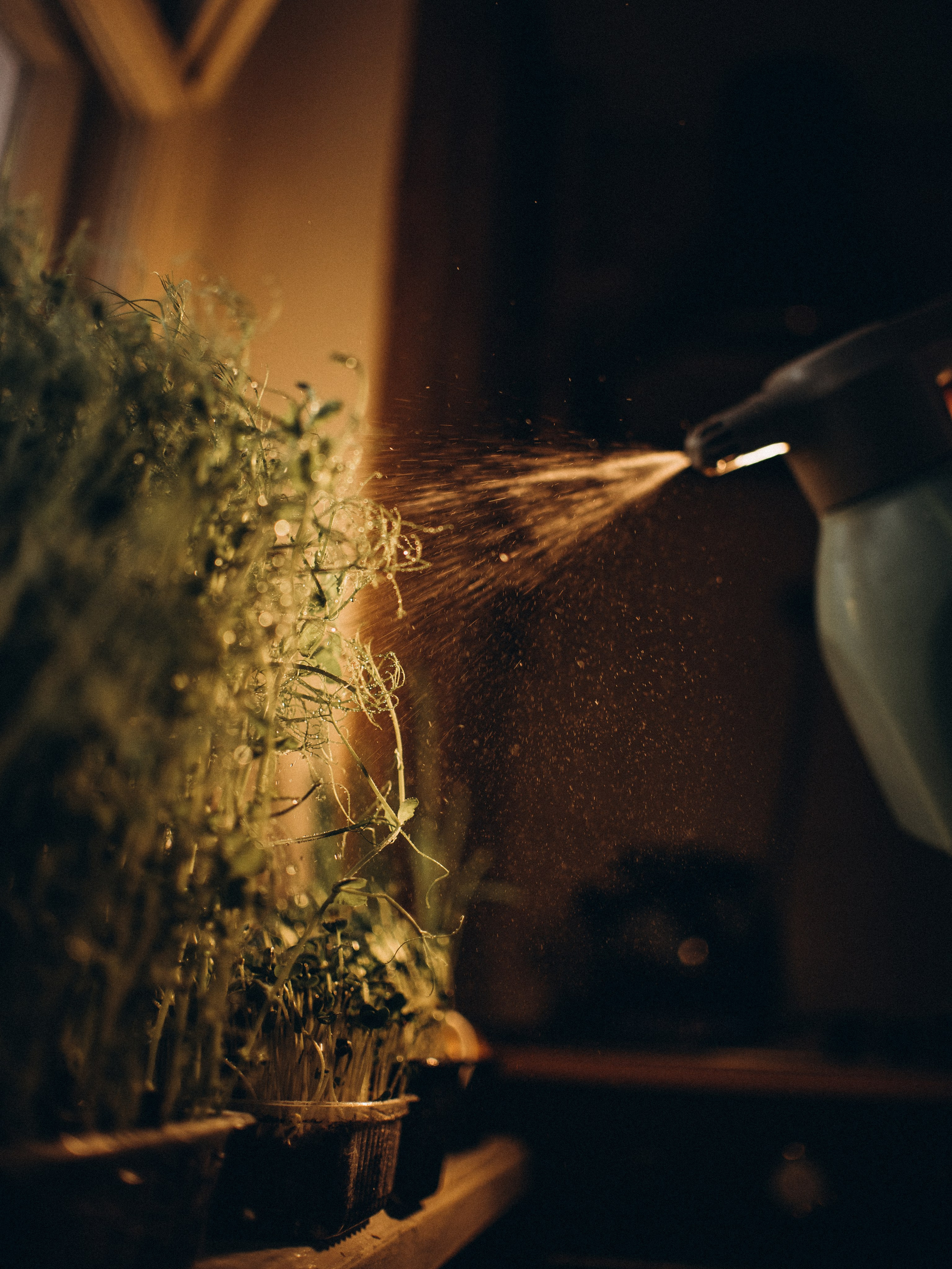 Лена Громова. Фотограф Любовь Подосенова Липецк|Воронеж