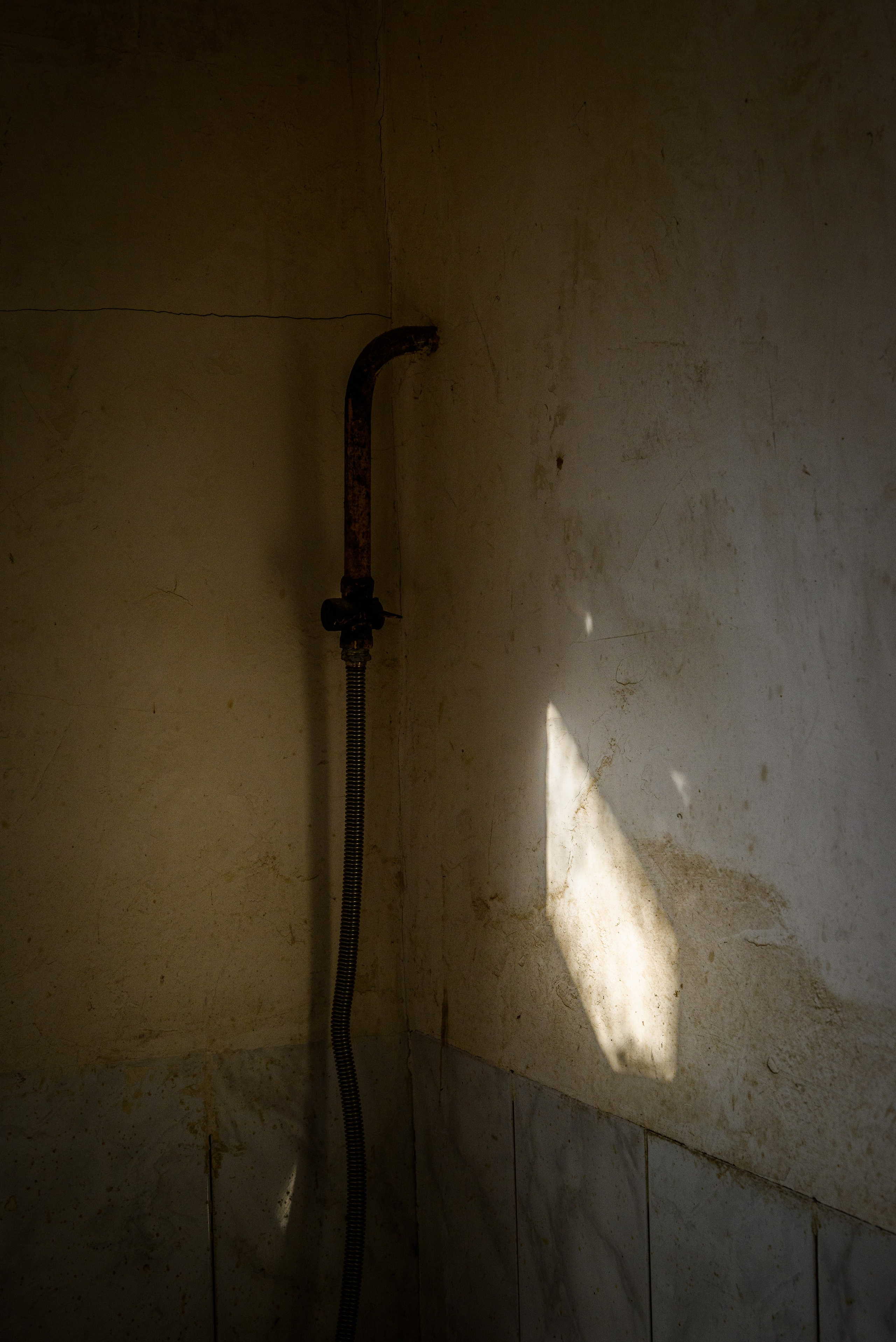 Увидеть свет. Фотограф Антон Денисенко: Портрет, Документалистика, Пейзаж. Москва