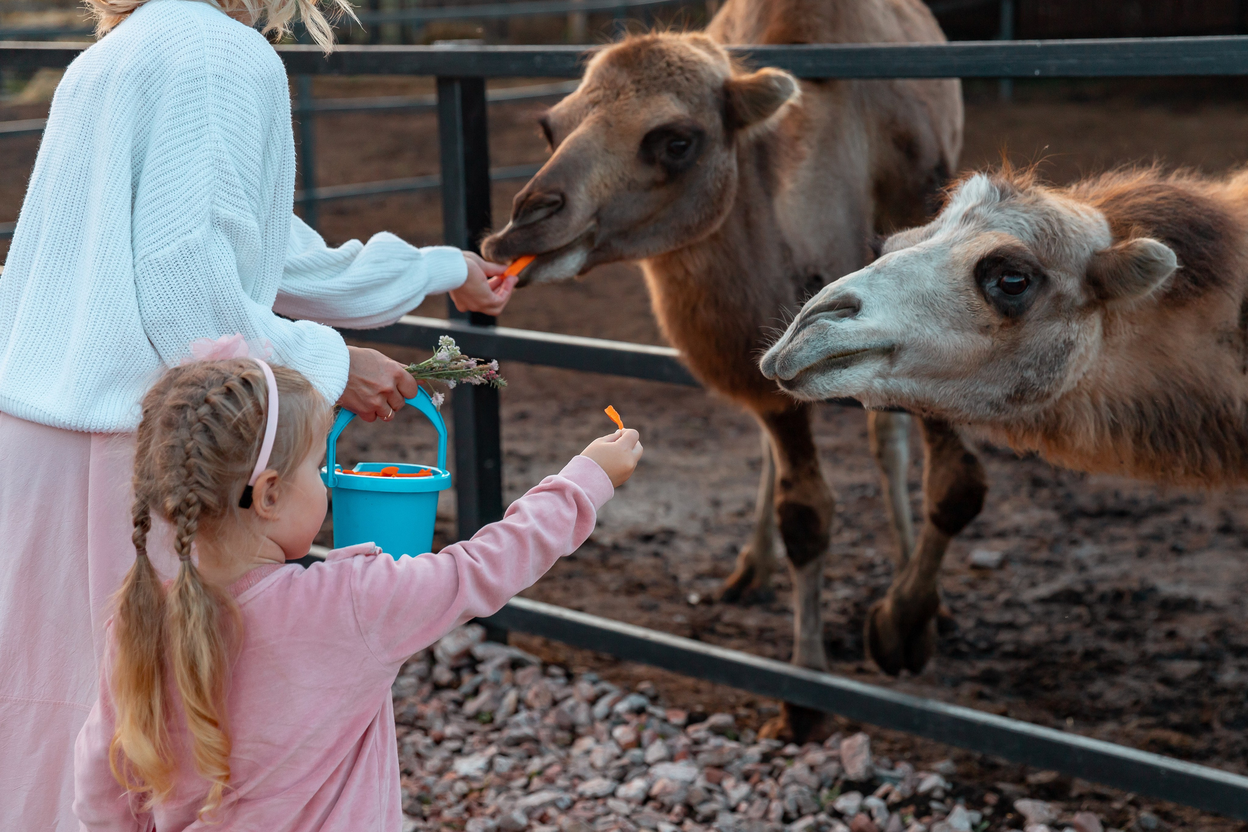 Семейная прогулка на ранчо. Детский и семейный фотограф в Красноярске Юлия Бирюкова