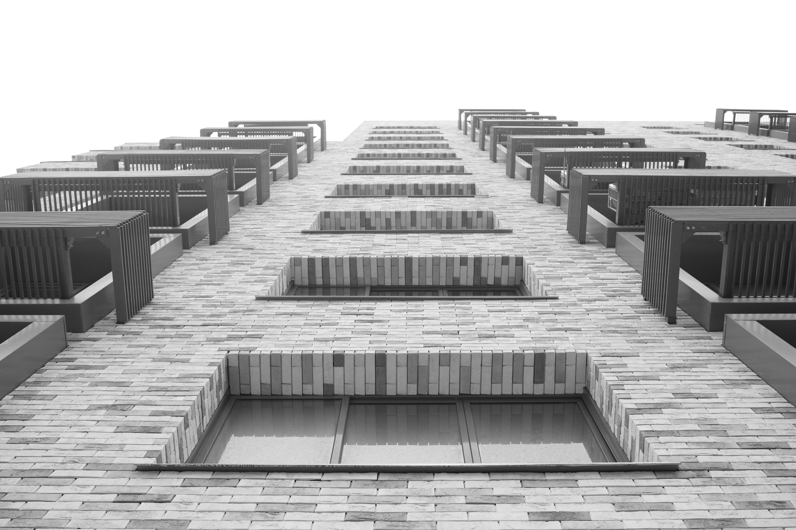 Black and white. Профессиональные фотосессии в Москве| Евгения Черенкова