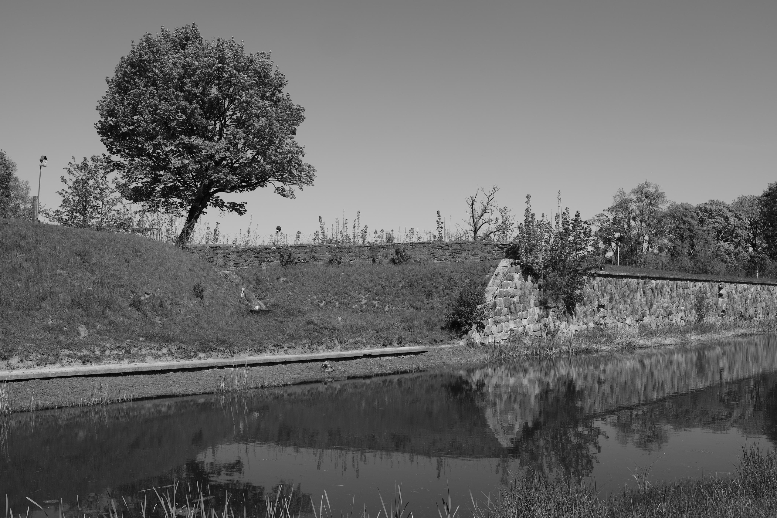 Black and white. Профессиональные фотосессии в Москве| Евгения Черенкова