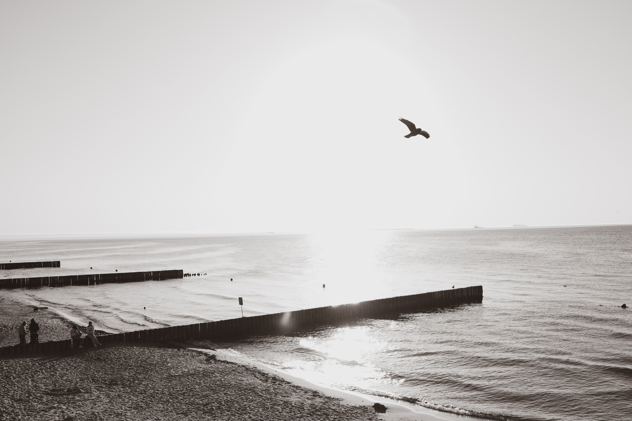 Винтаж. Профессиональные фотосессии в Москве| Евгения Черенкова