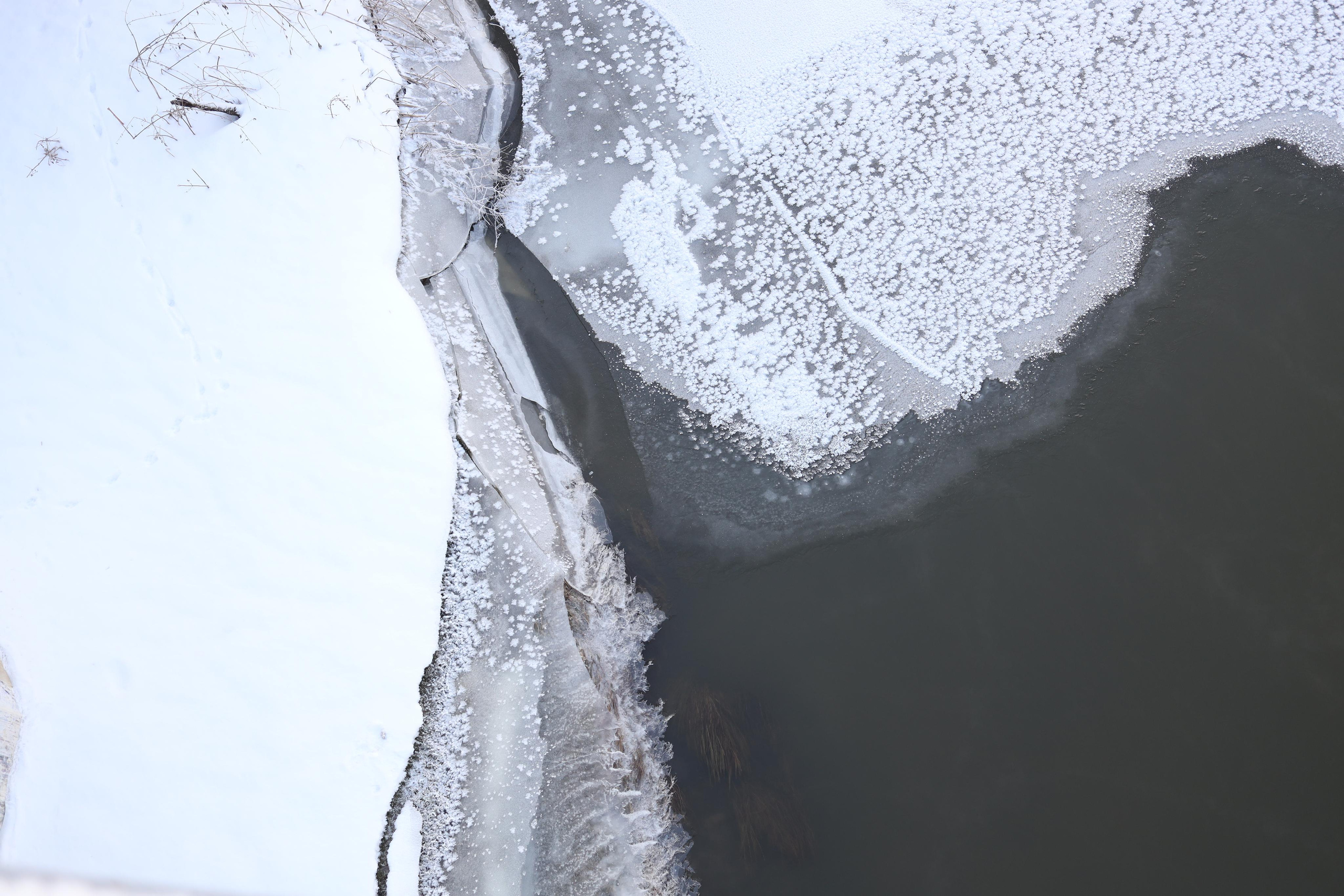 Зимние пейзажи. Профессиональные фотосессии в Москве| Евгения Черенкова
