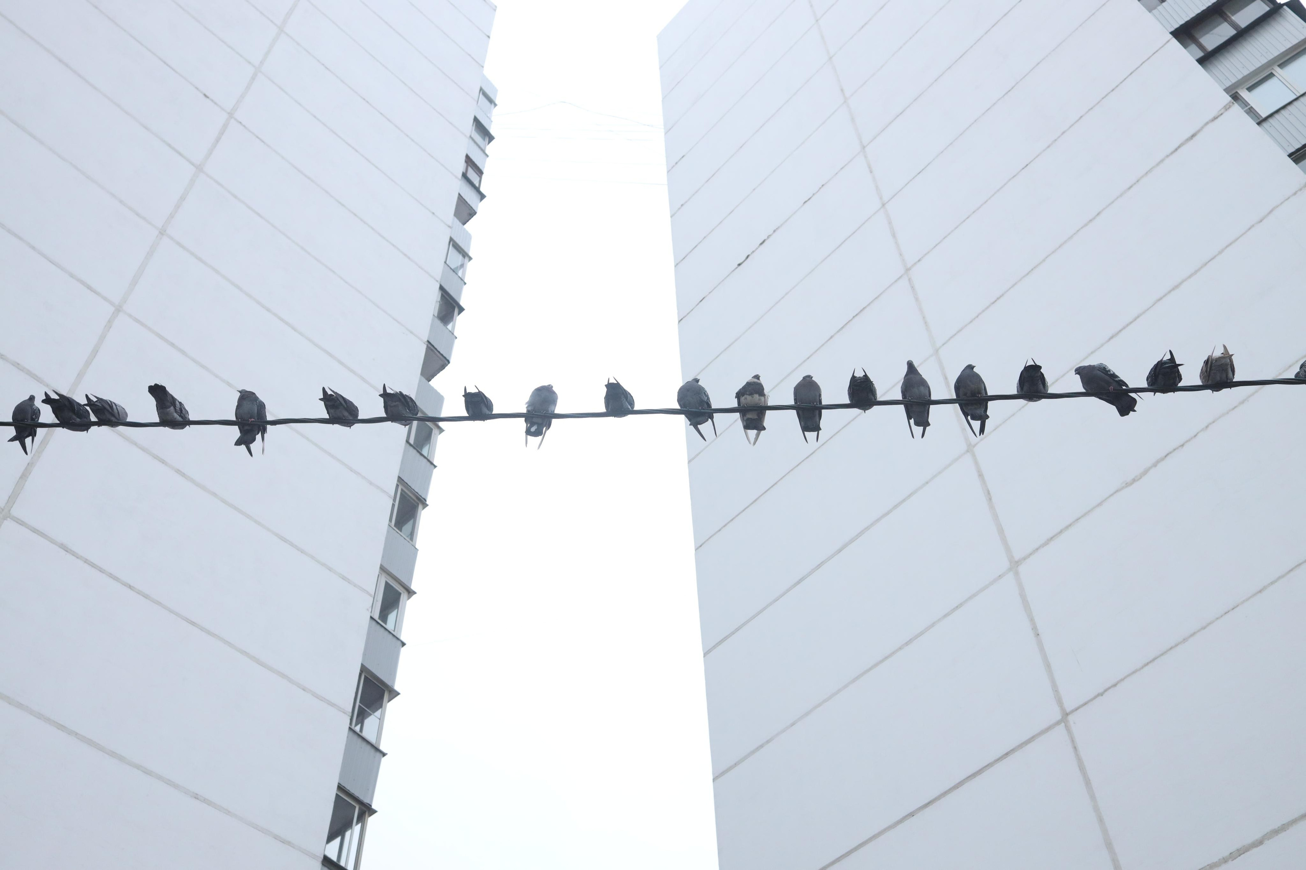 Замедление (проект для школы Родченко). Профессиональные фотосессии в Москве| Евгения Черенкова