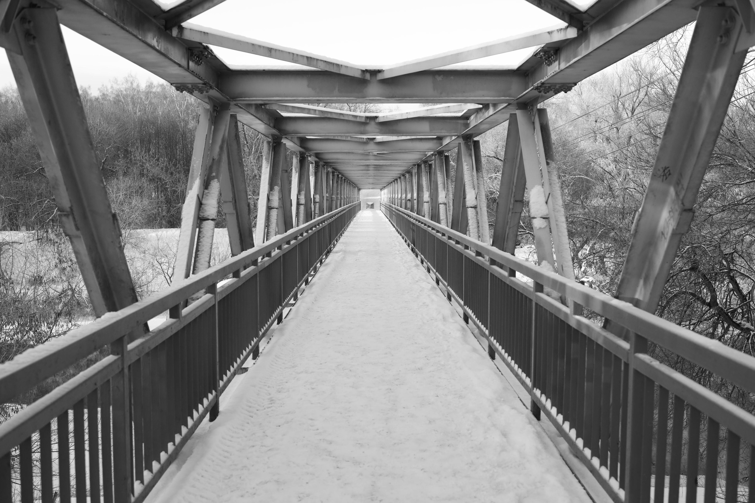 Black and white. Профессиональные фотосессии в Москве| Евгения Черенкова