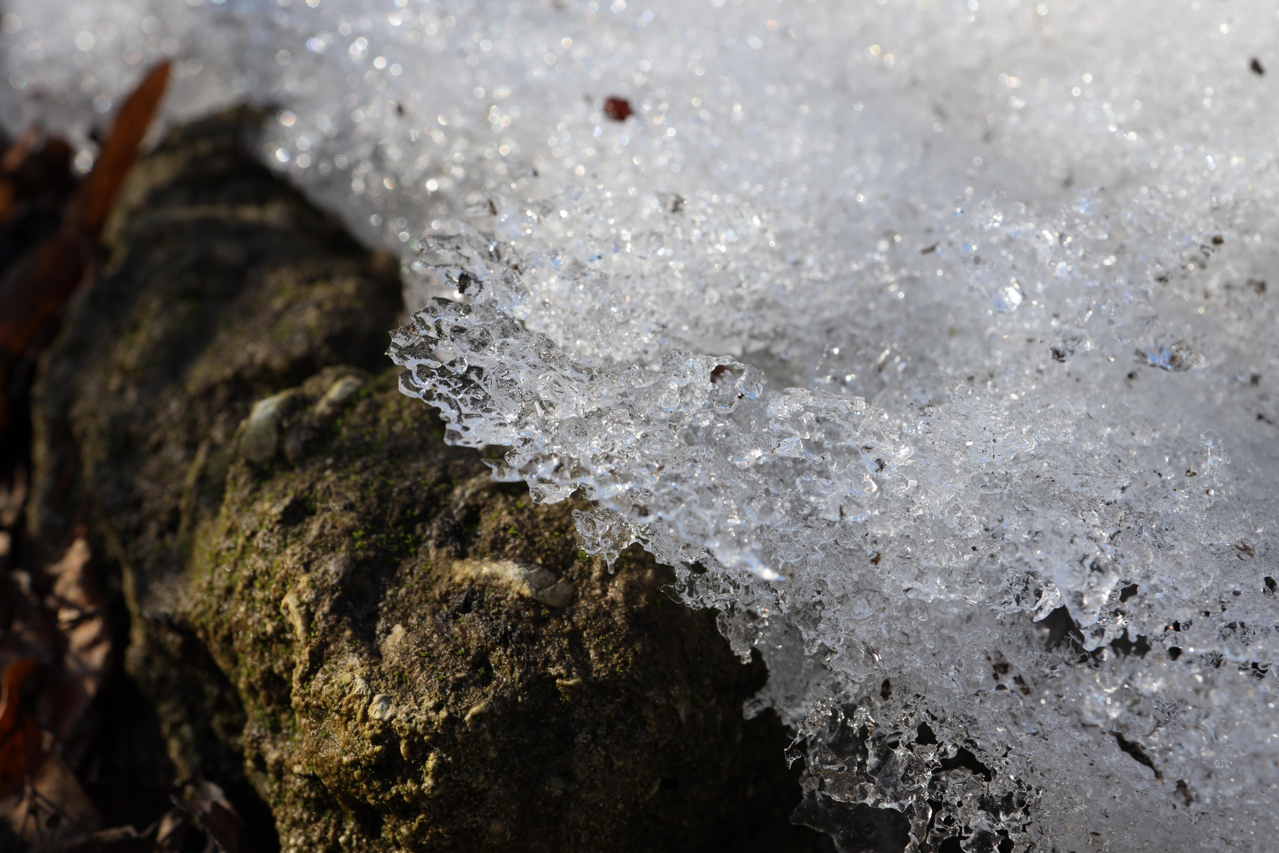 Зимние пейзажи. Профессиональные фотосессии в Москве| Евгения Черенкова