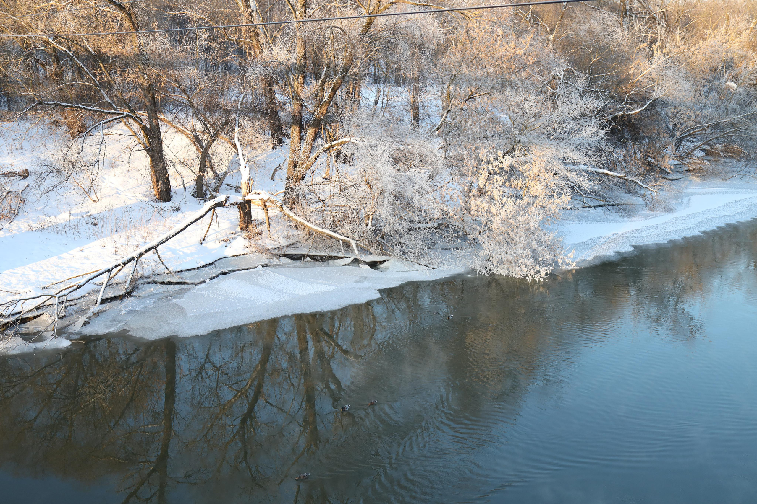 Зимние пейзажи. Профессиональные фотосессии в Москве| Евгения Черенкова