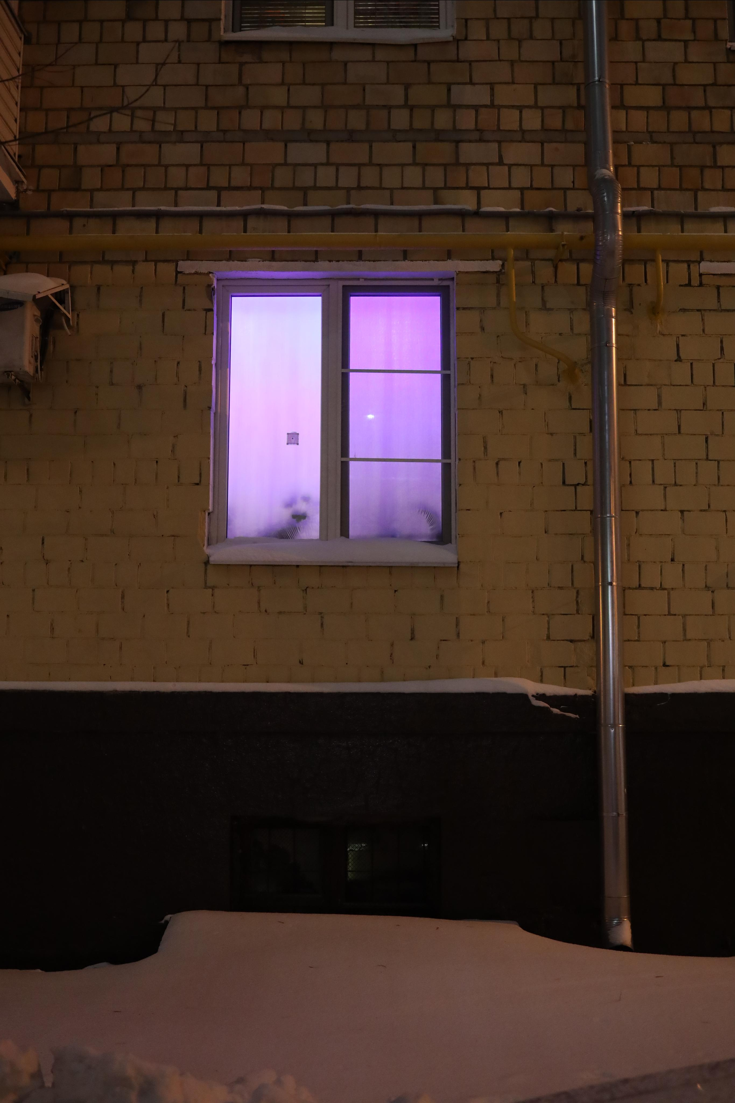 Новогодние каникулы