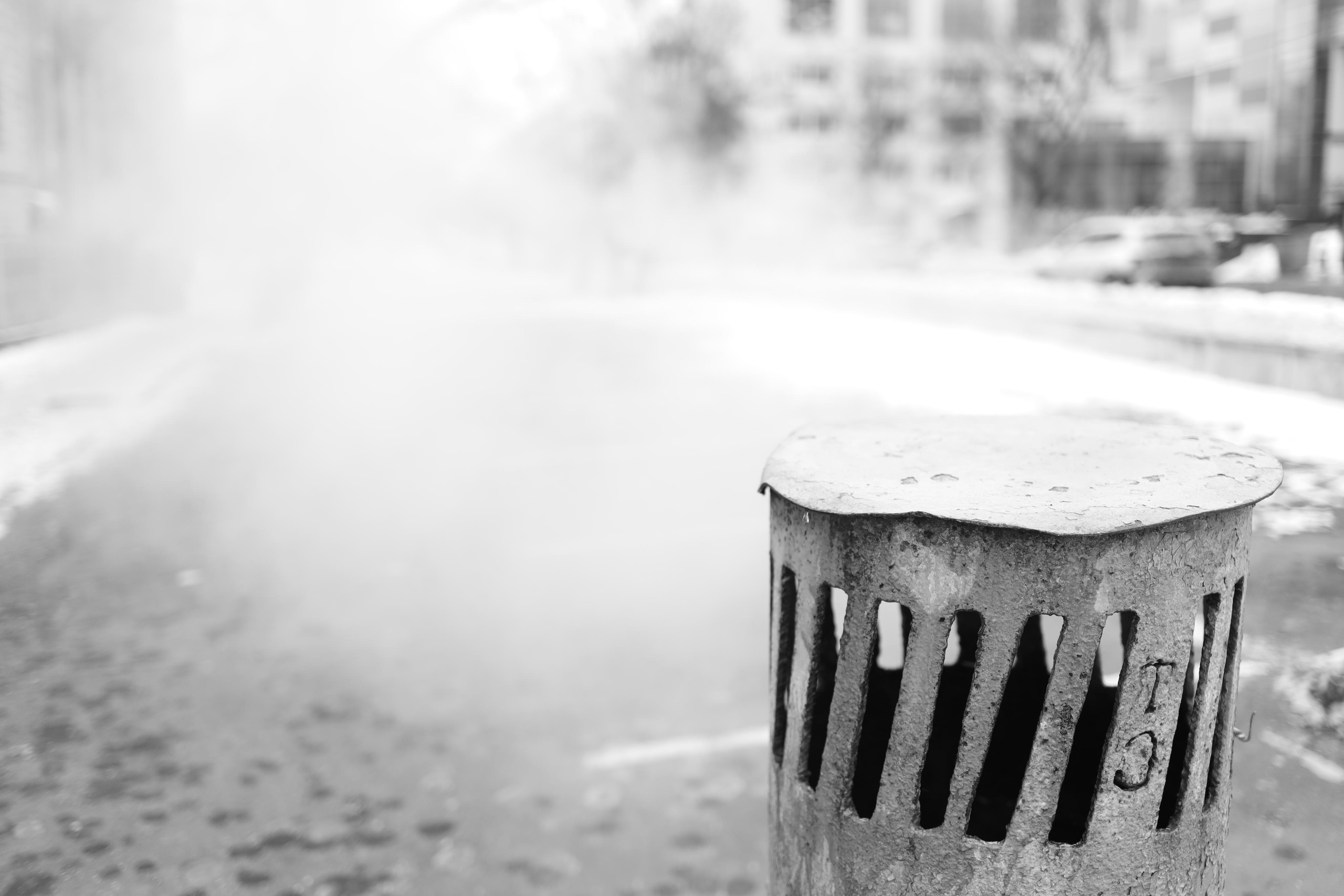 Black and white. Профессиональные фотосессии в Москве| Евгения Черенкова