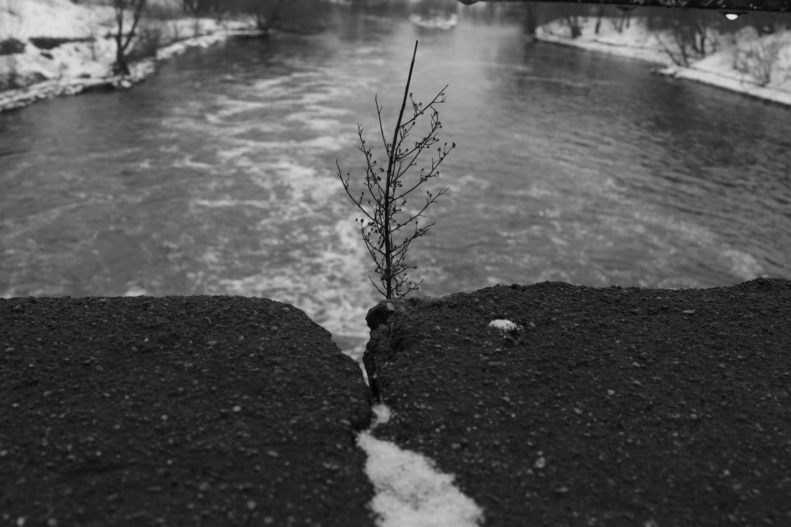 Black and white. Профессиональные фотосессии в Москве| Евгения Черенкова