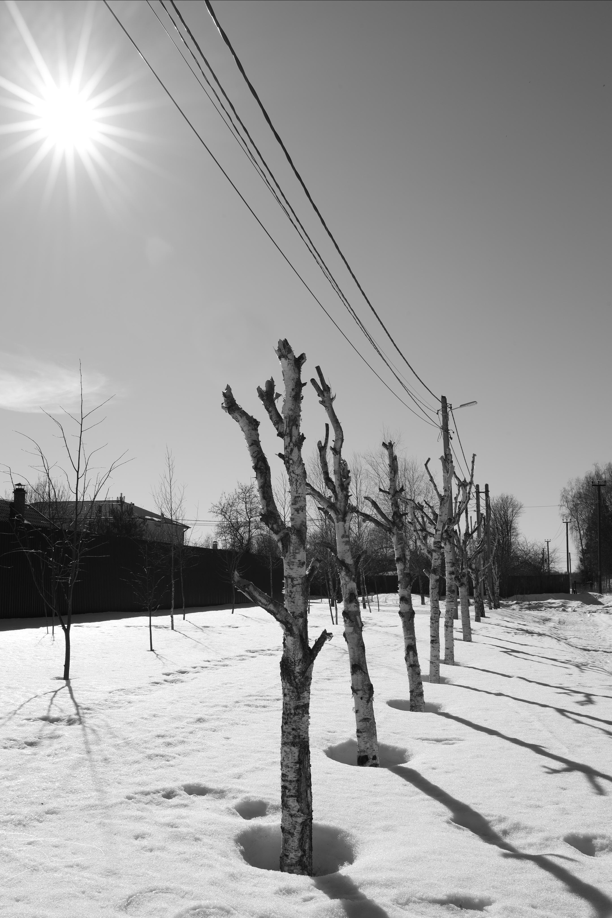 Black and white. Профессиональные фотосессии в Москве| Евгения Черенкова