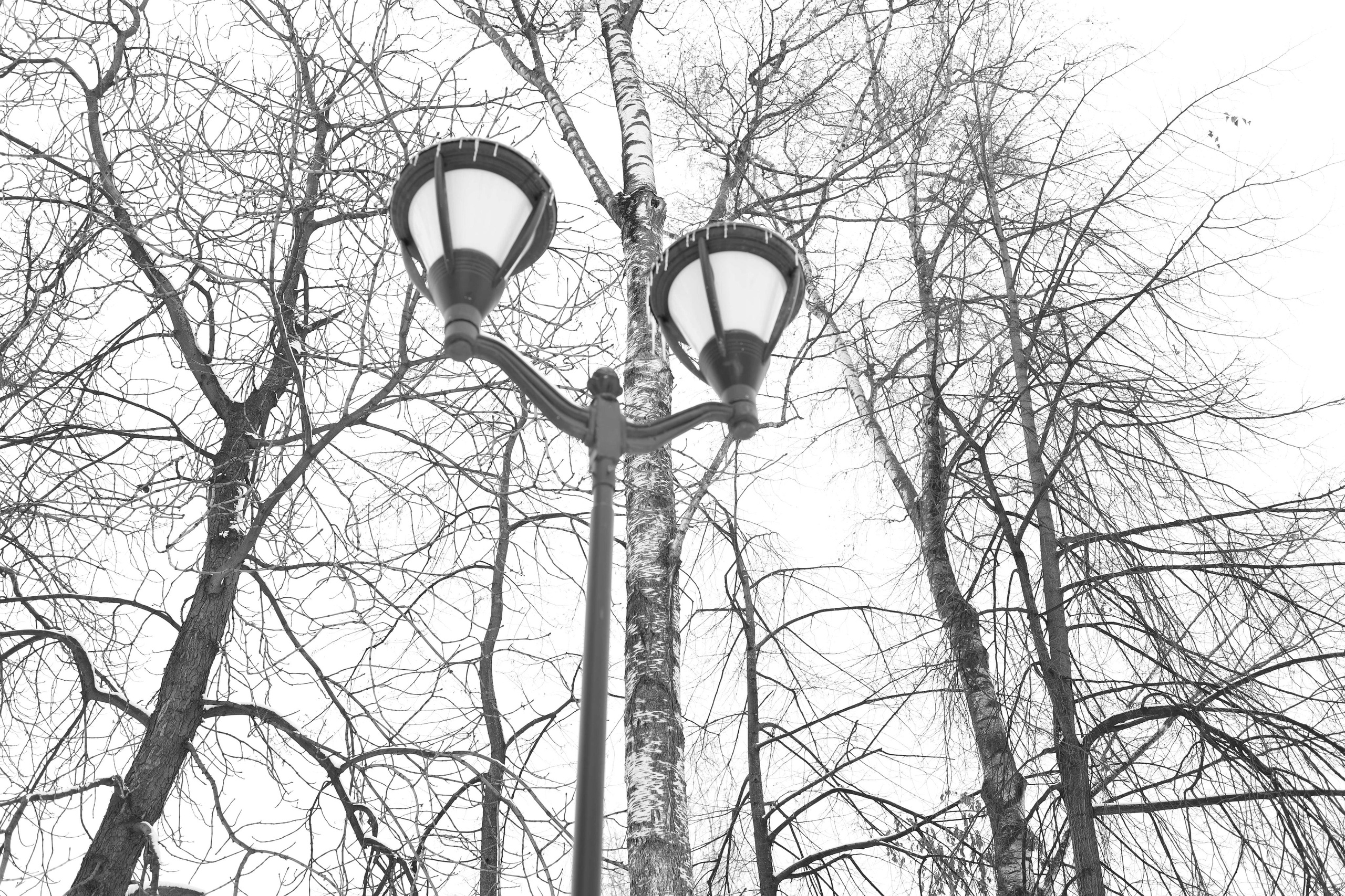 Black and white. Профессиональные фотосессии в Москве| Евгения Черенкова