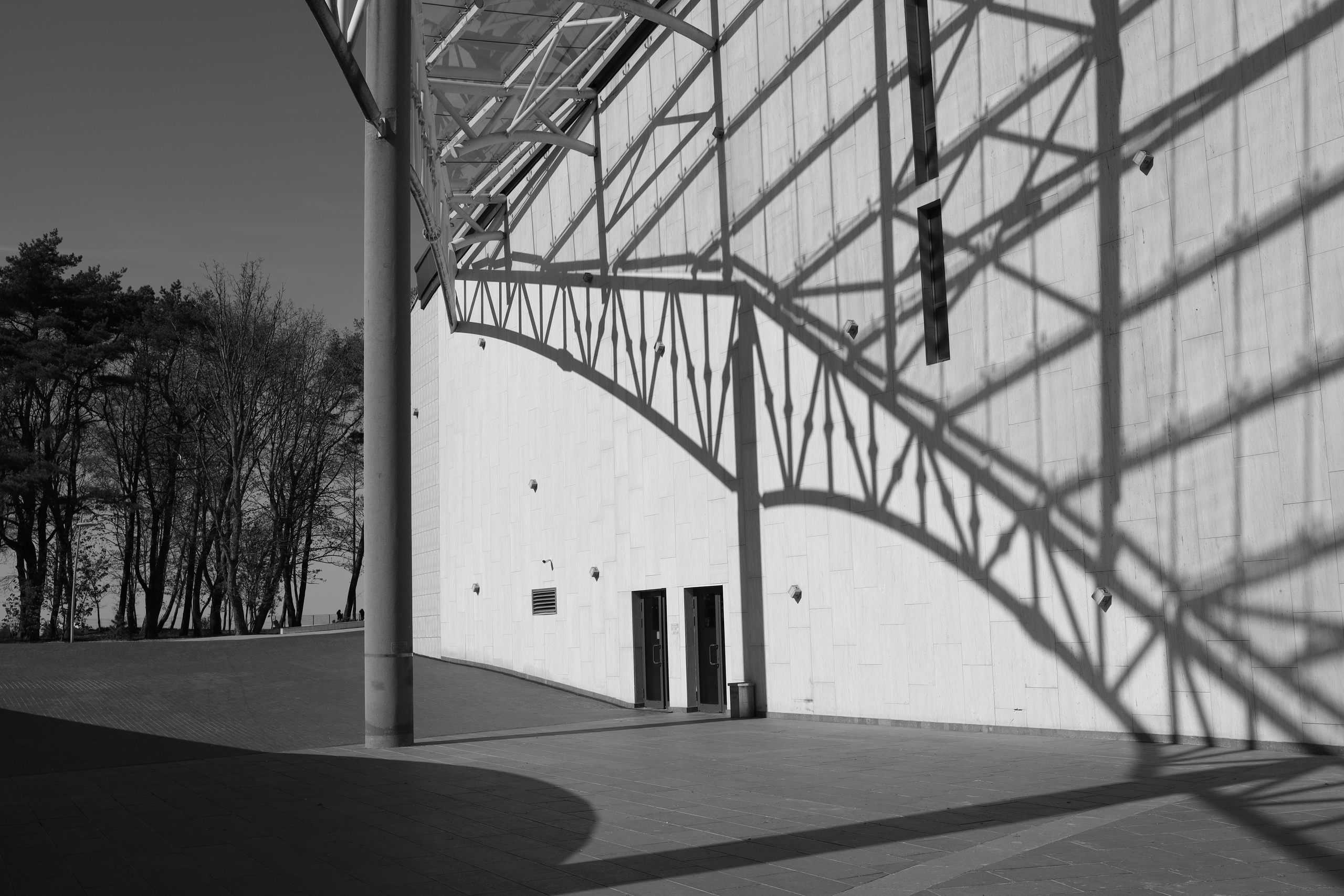 Black and white. Профессиональные фотосессии в Москве| Евгения Черенкова