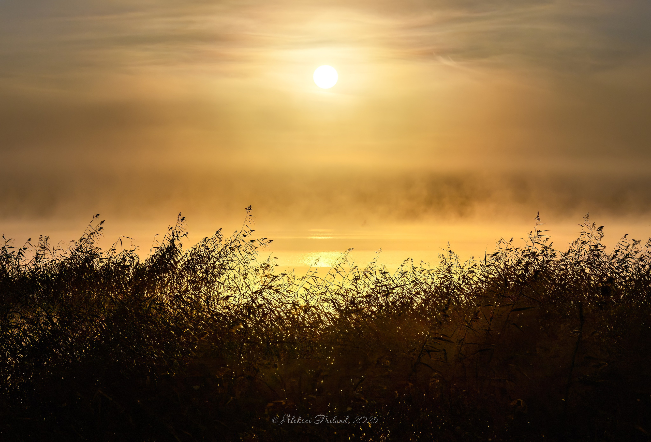 Природа Карелии. Аэросъемка. Фото и Видео в Карелии. Алексей Фрилунд