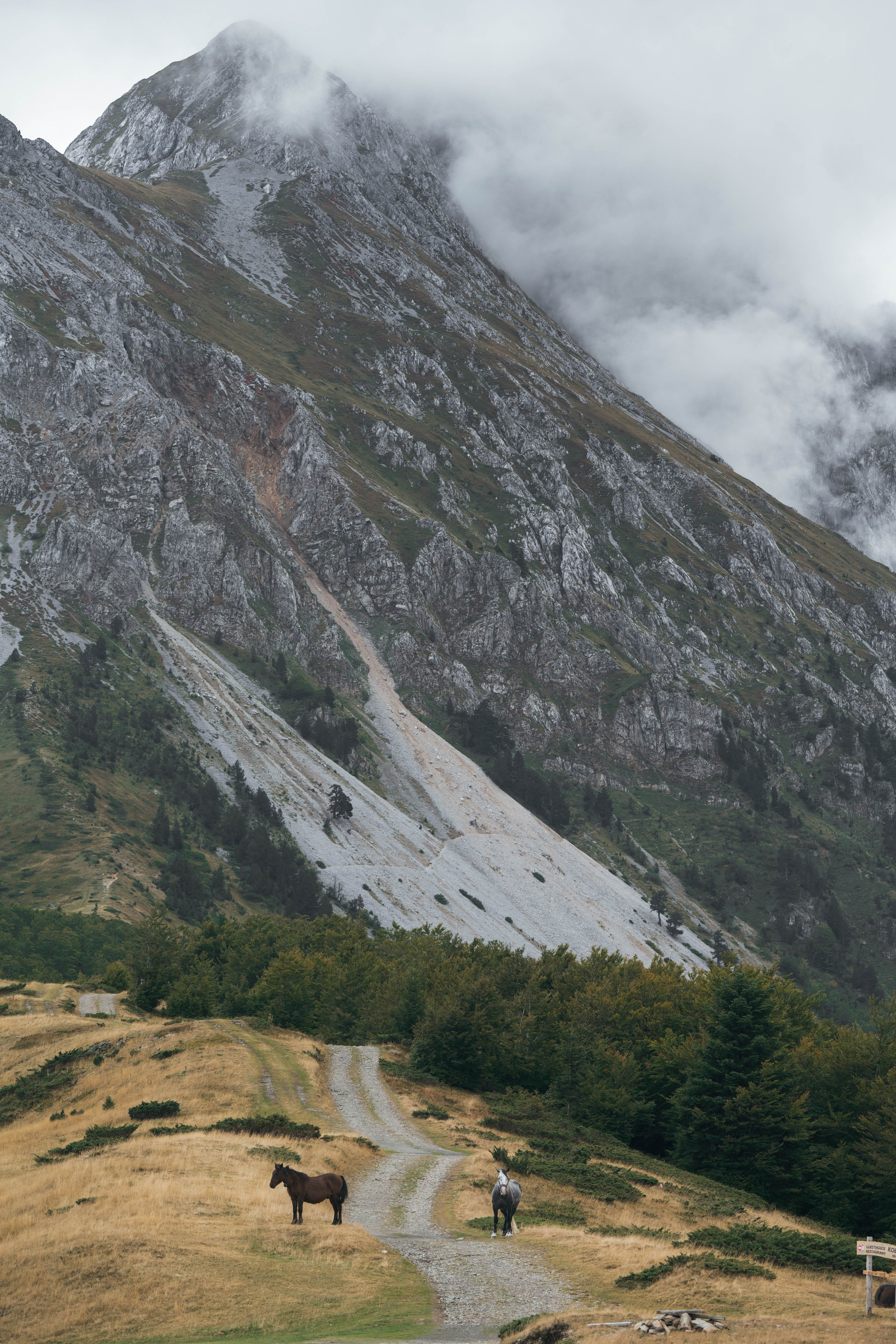ГОРЫ КОМОВИ. ЧЕРНОГОРИЯ. Фотограф в Белграде Чугреева Елена