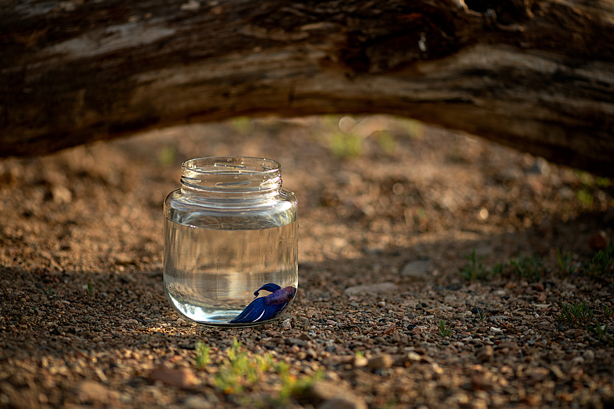 Рыбацкая история. Детский и семейный фотограф в Красноярске Елена Коровкина