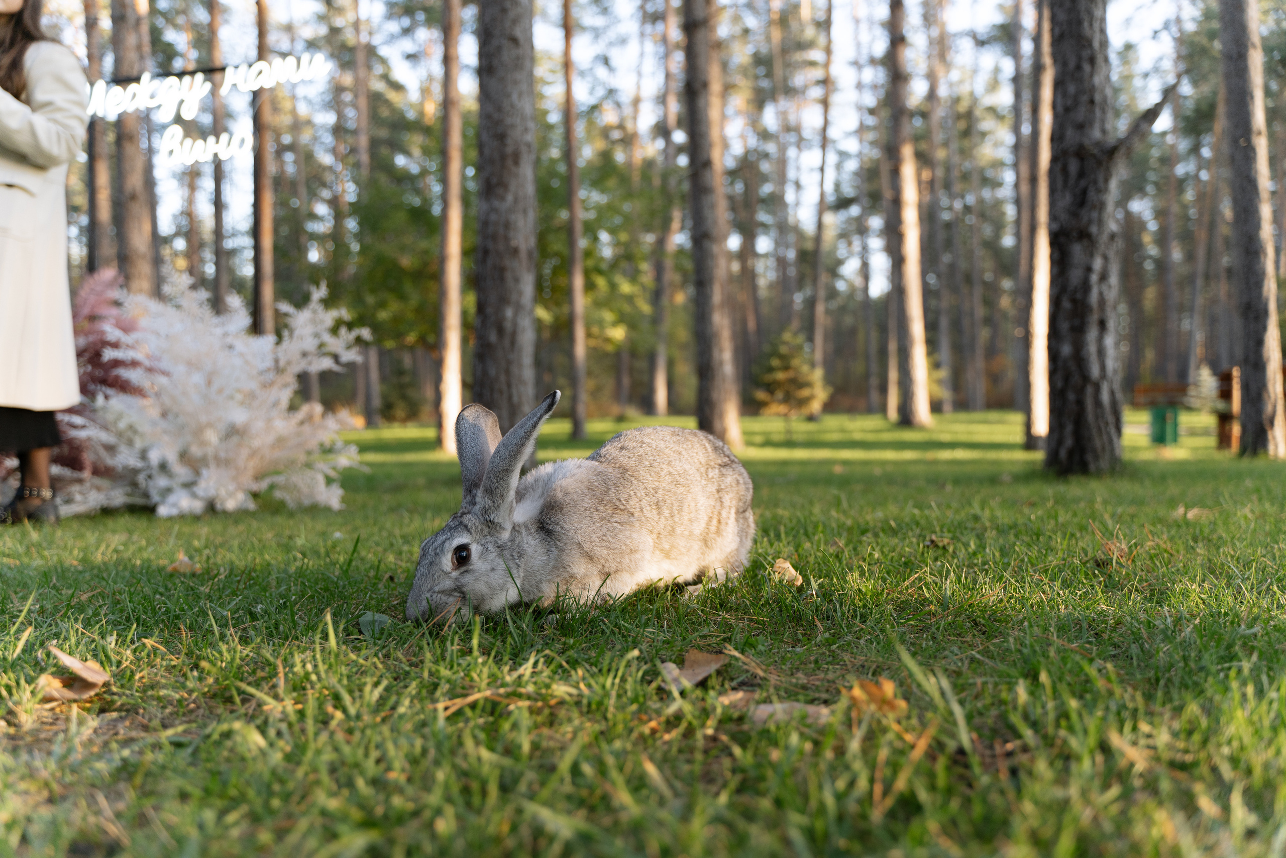 R&O. Фотограф Санкт-Петербург