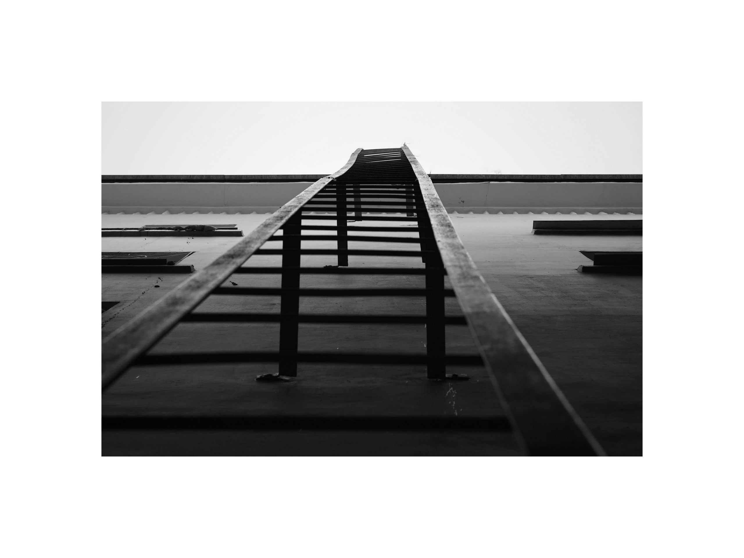 2023. Тащилин Сергей. Фотографии. Жизнь. Хобби