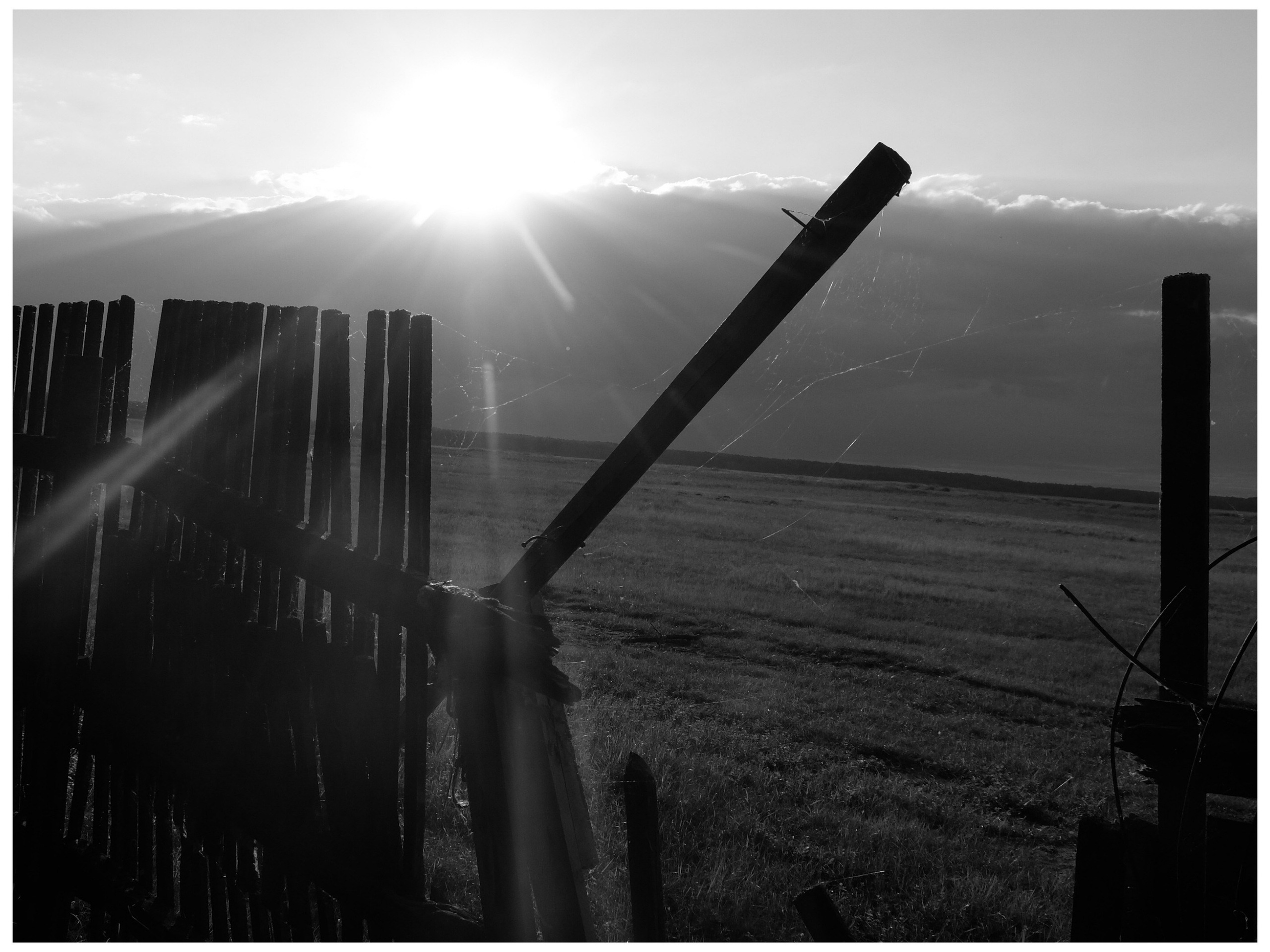 Промежуточные моменты (2022)