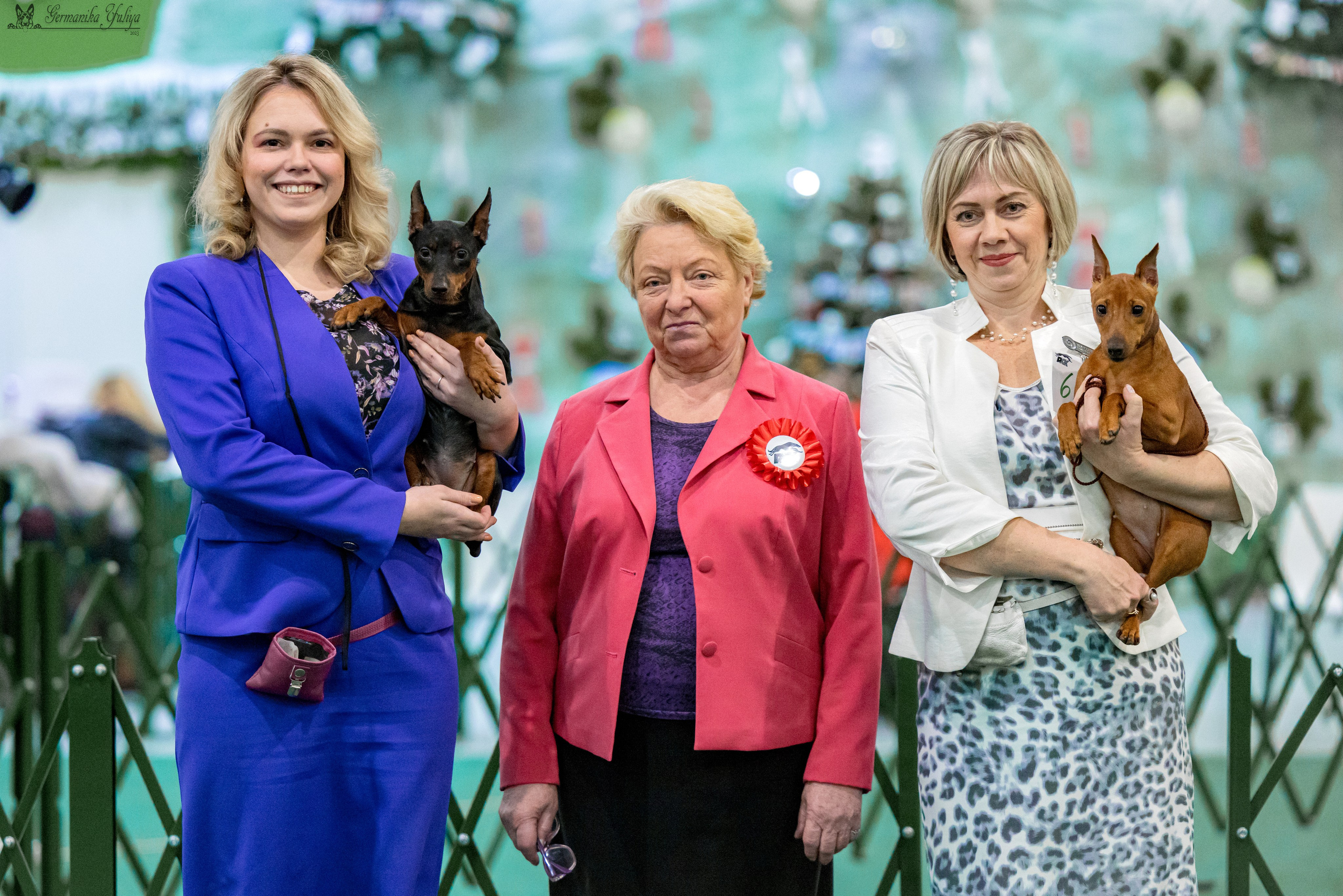 Крокус 3,9 и 10.12.2023. Фотограф-анималист Юлия Германика