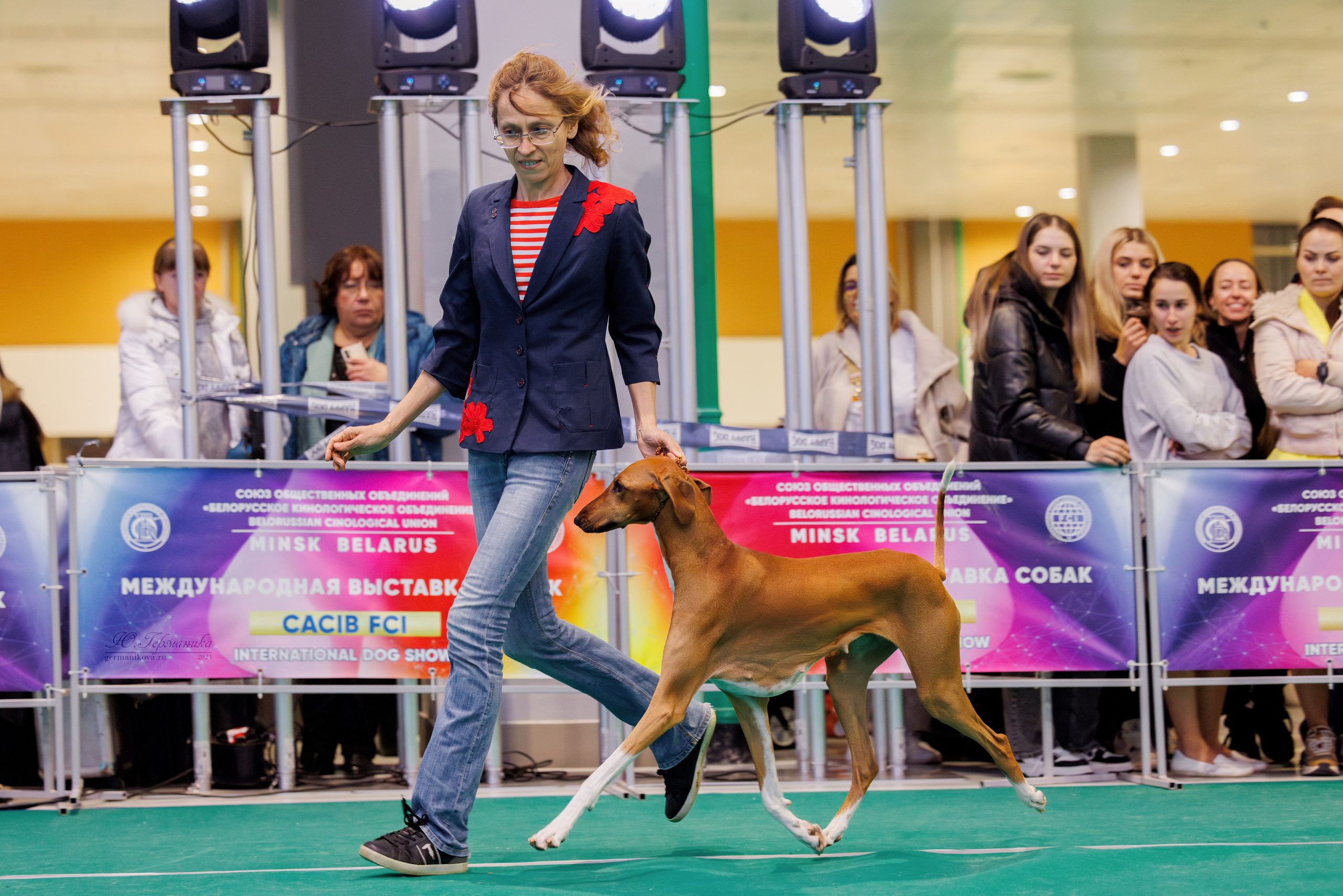 Минск 23.11.2024. Фотограф-анималист Юлия Германика