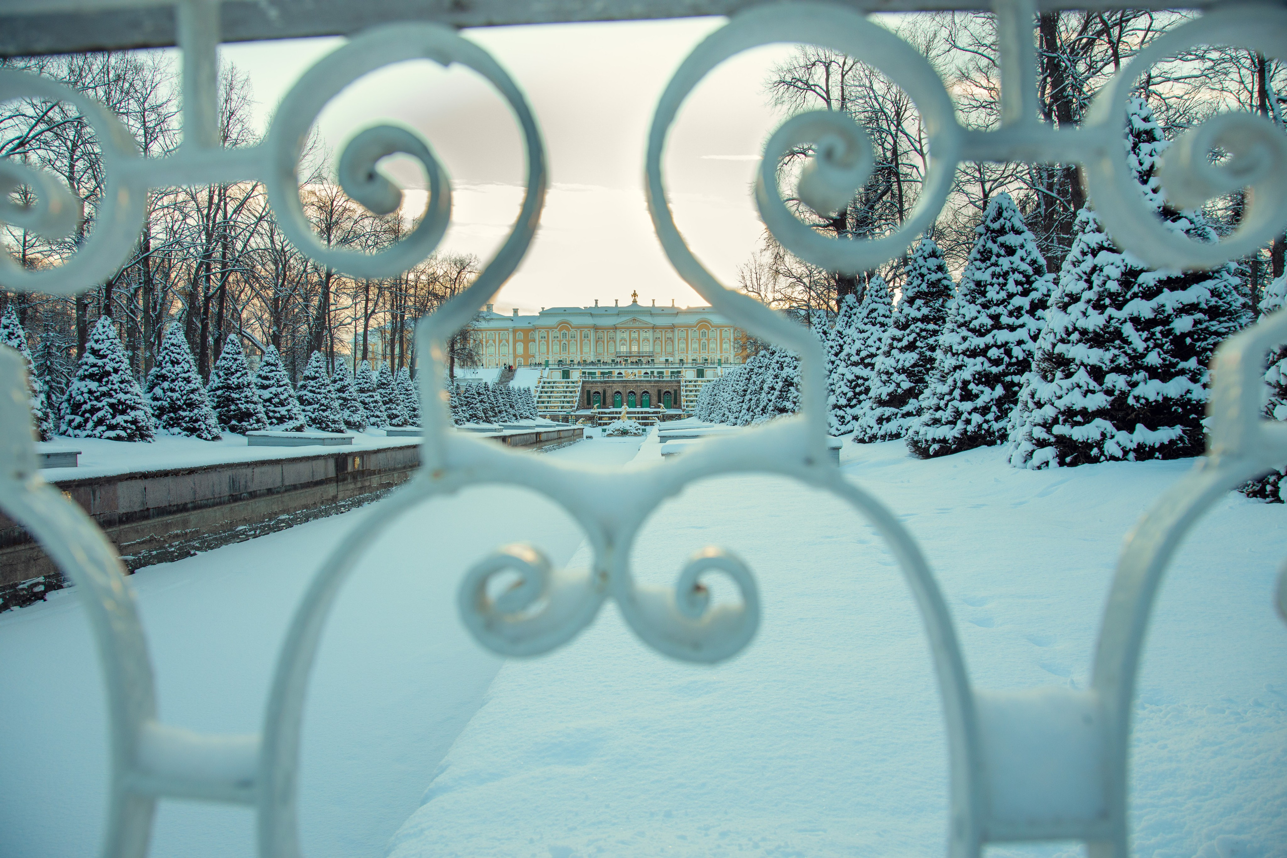 Петергоф нижний парк фото