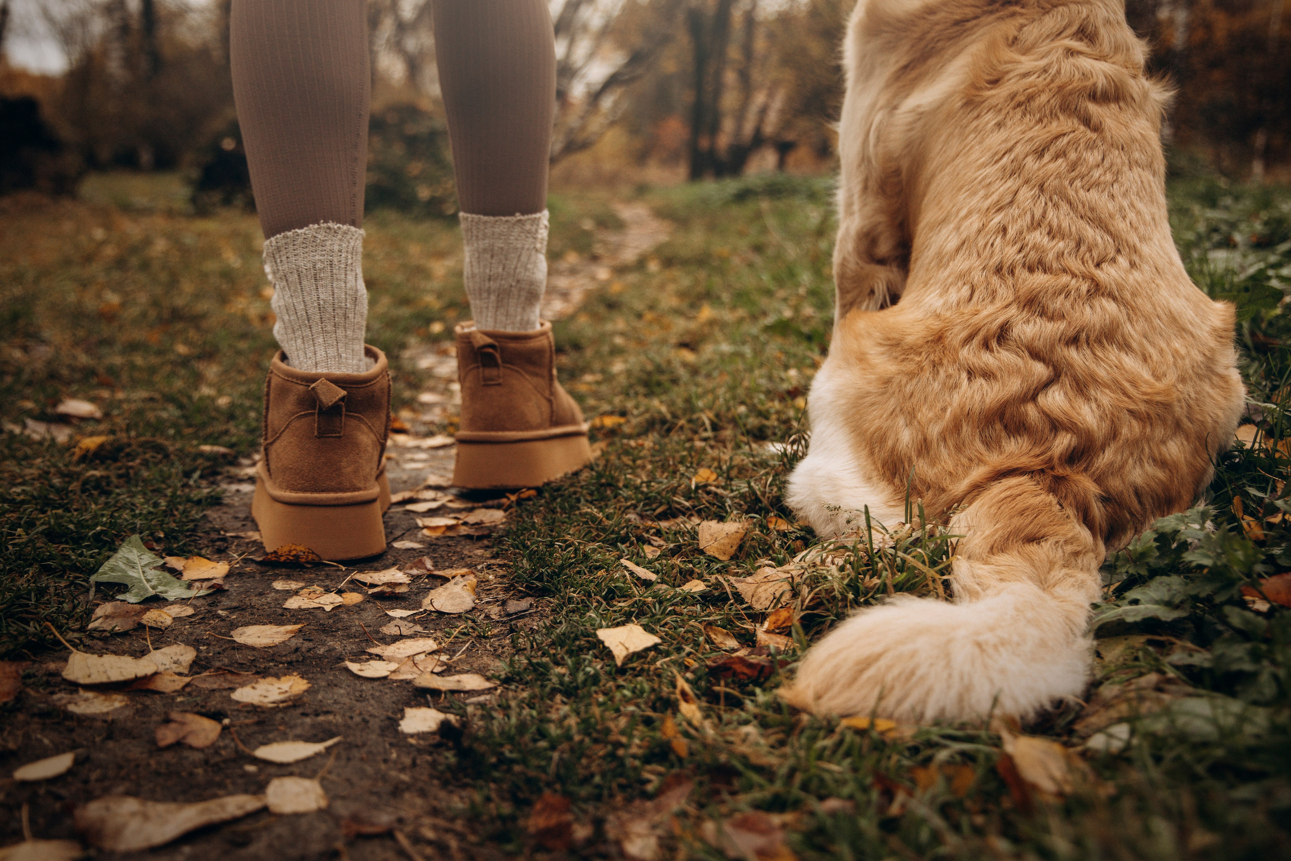 Марина и Чили. Фотограф — Анималист | Санкт-Петербург
