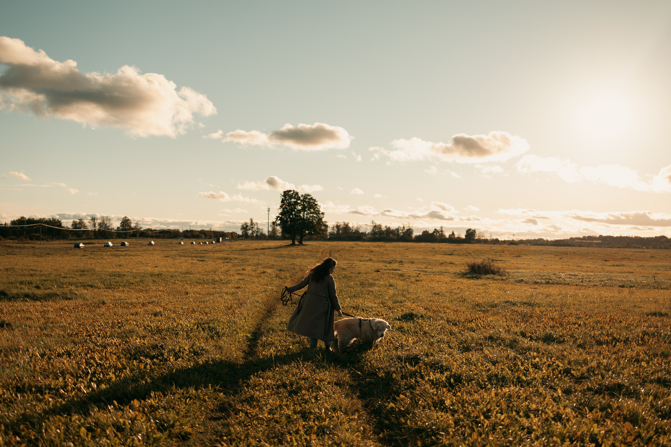 Лера и Скай. Фотограф — Анималист | Санкт-Петербург