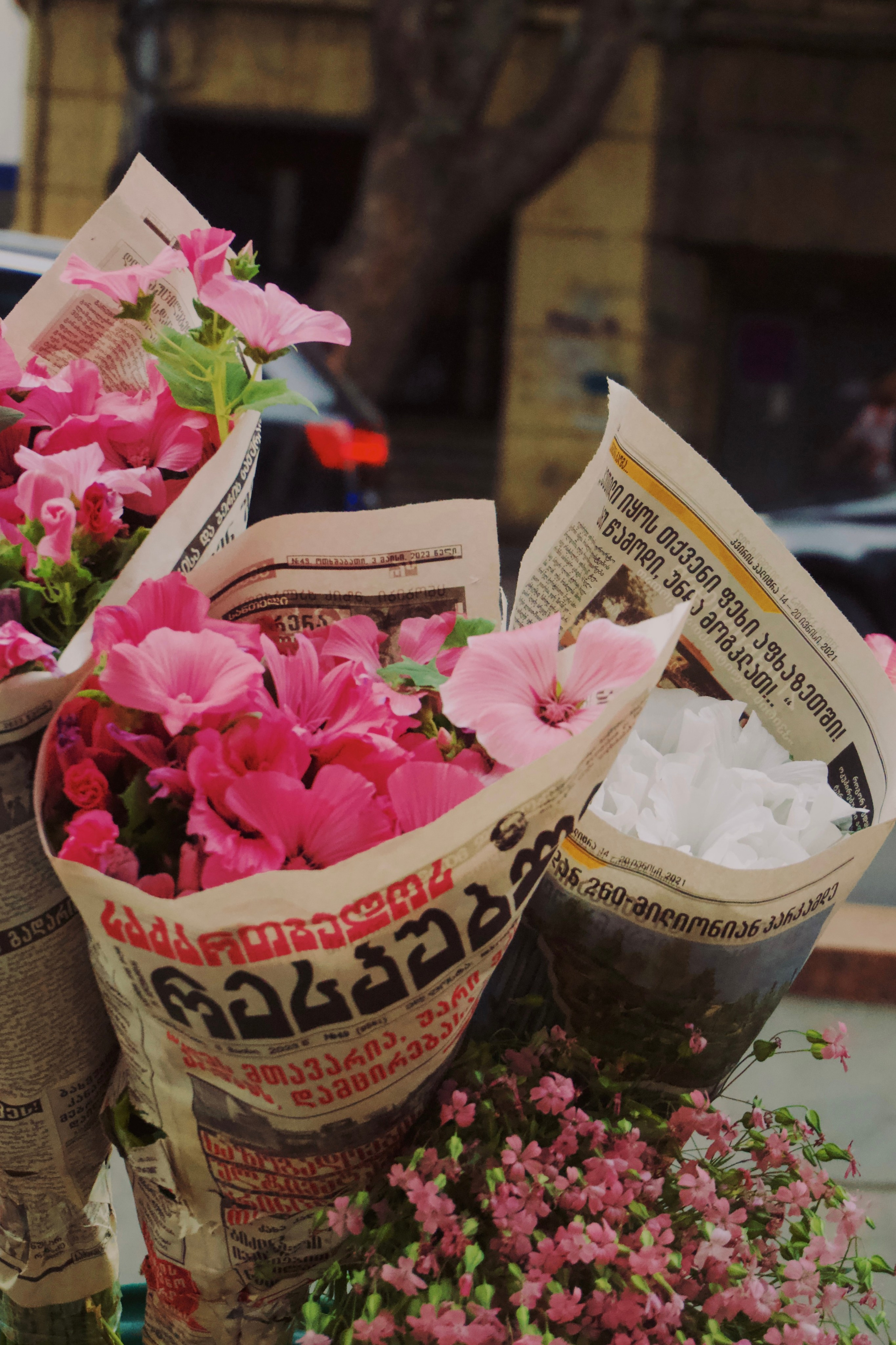 Тбилиси. Татьян гертье