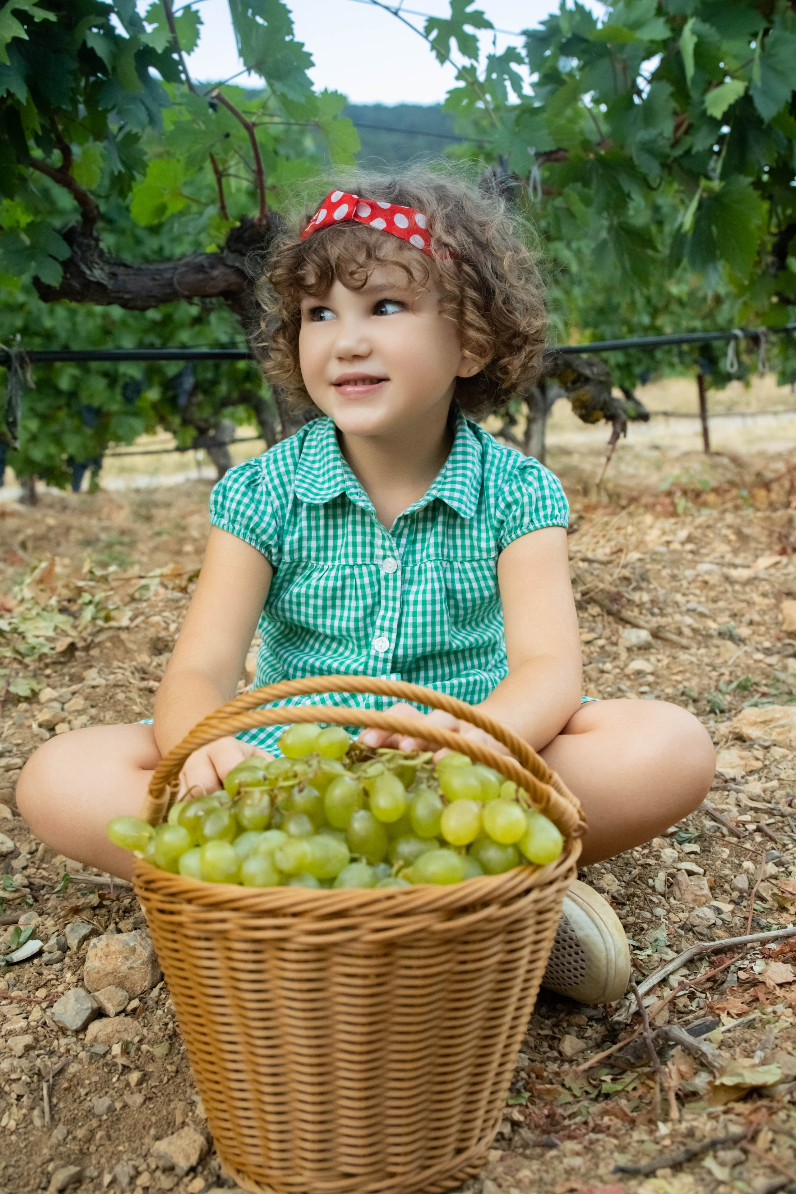 Фотосессия семейная «Виноградники». Фотограф в Крыму Татьяна Барицкая ЕНОТИКА