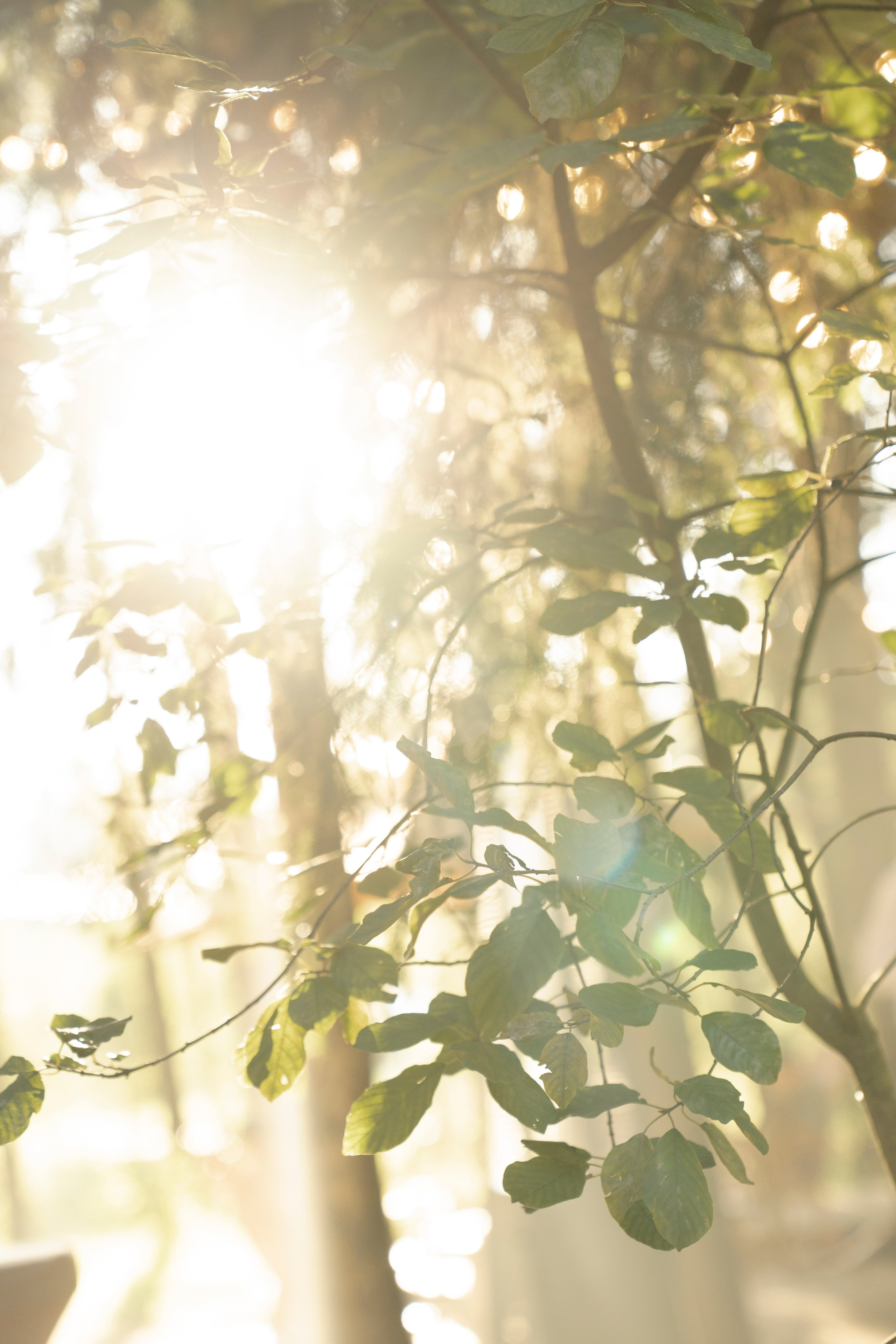 Только о любви. Свадебный фотограф Наташа Брифли