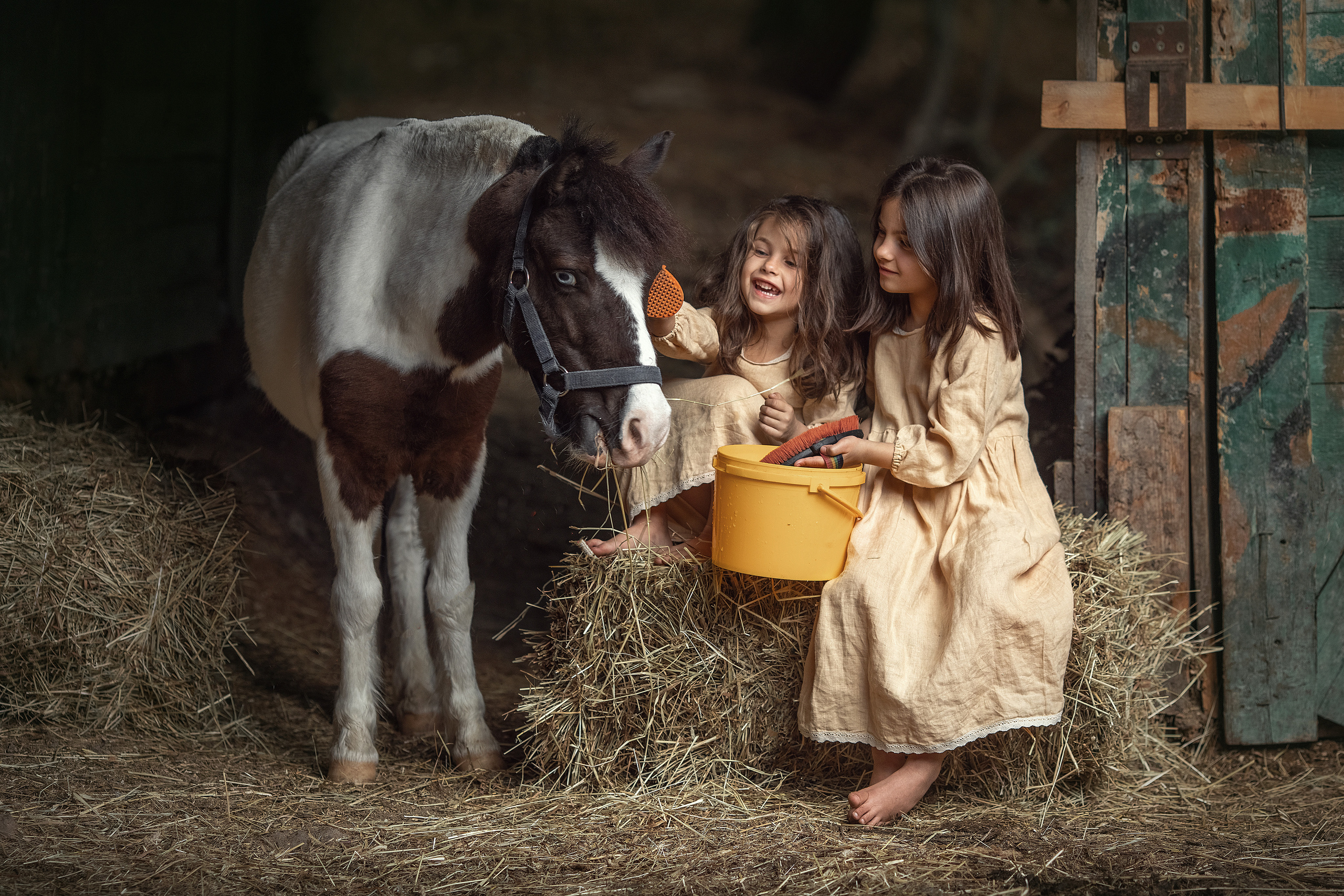 Семейные и детские. Фотограф Светлана Грачева