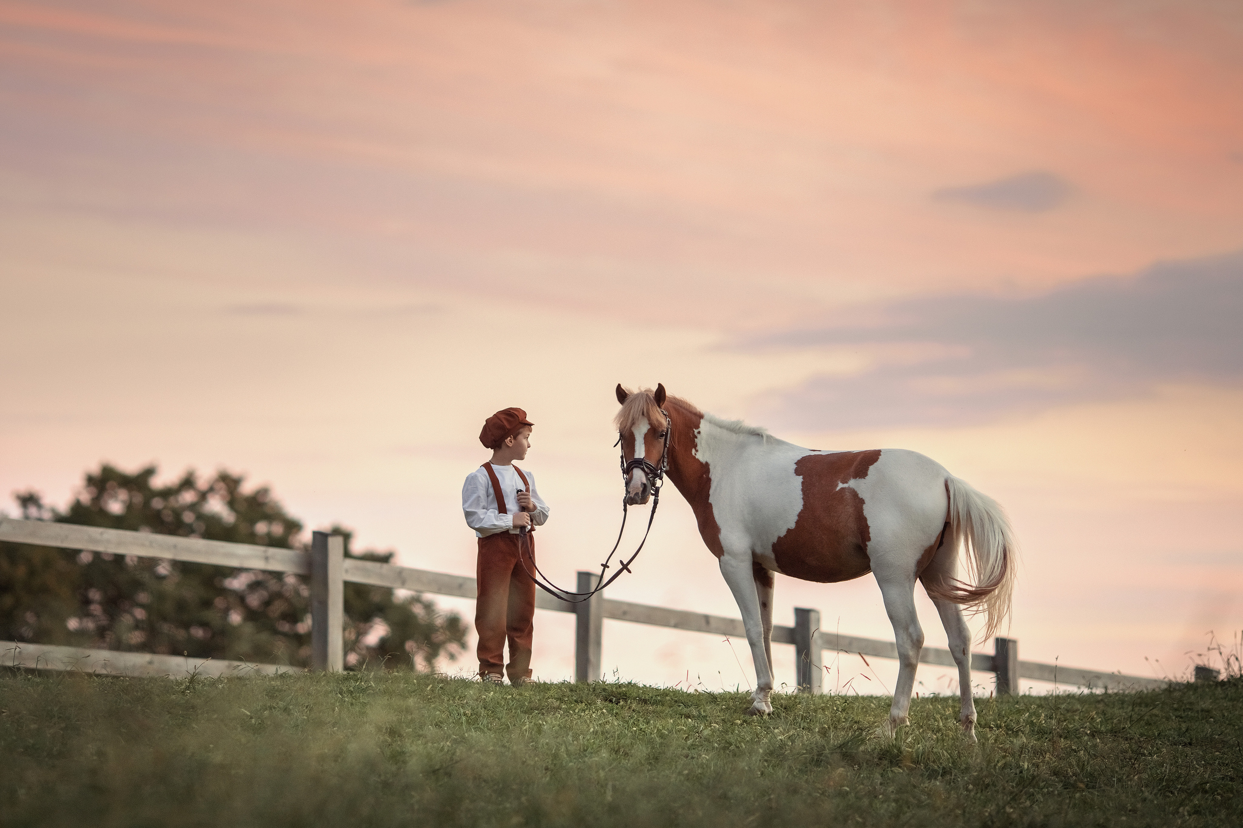 Семейные и детские. Фотограф Светлана Грачева