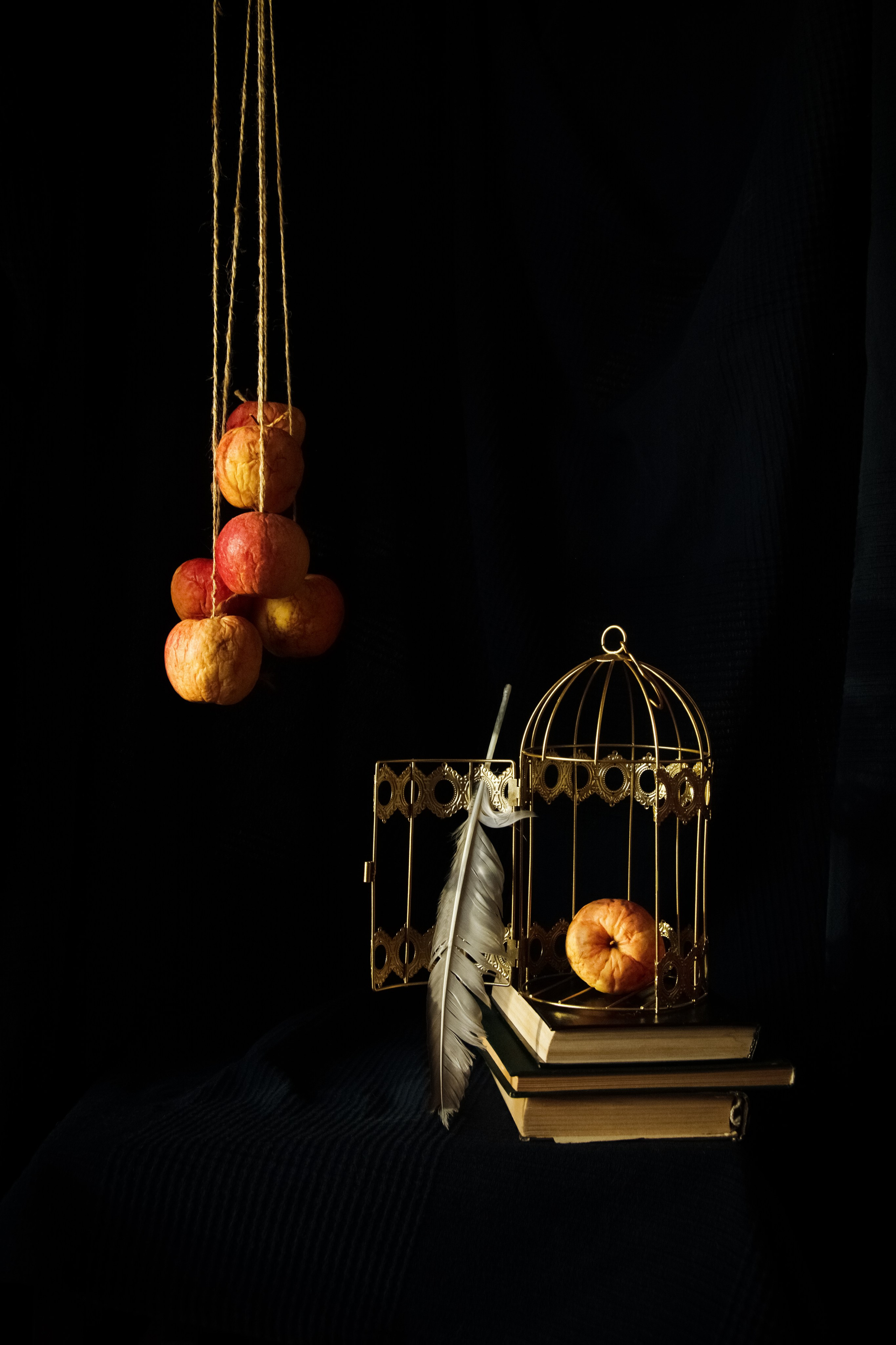 Предметная съёмка. Главная