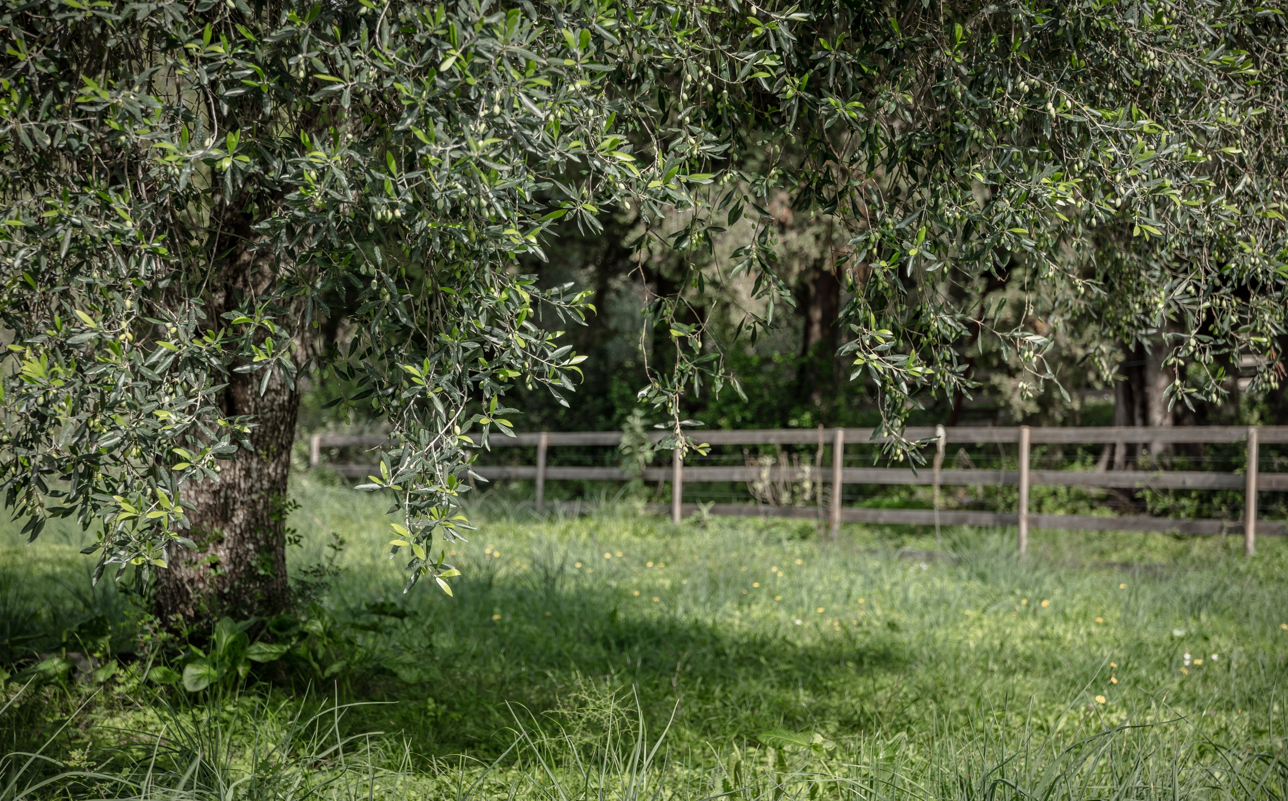 TRAVEL&NATURE. NE Cinema — backstage and reportage photography in cinema, music, Automotive and sport