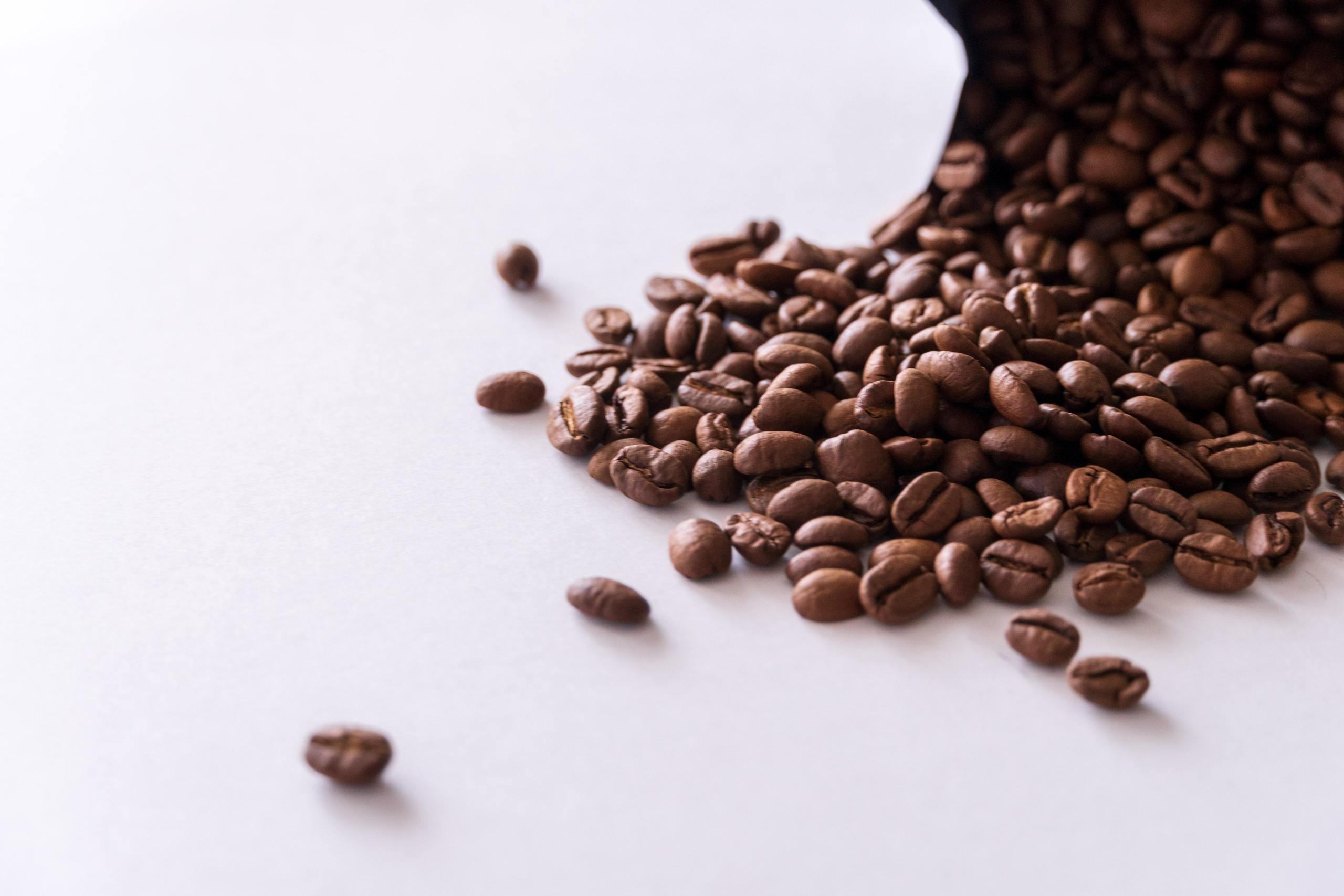 Предметная съемка. Предметный фотограф Санкт-Петербург