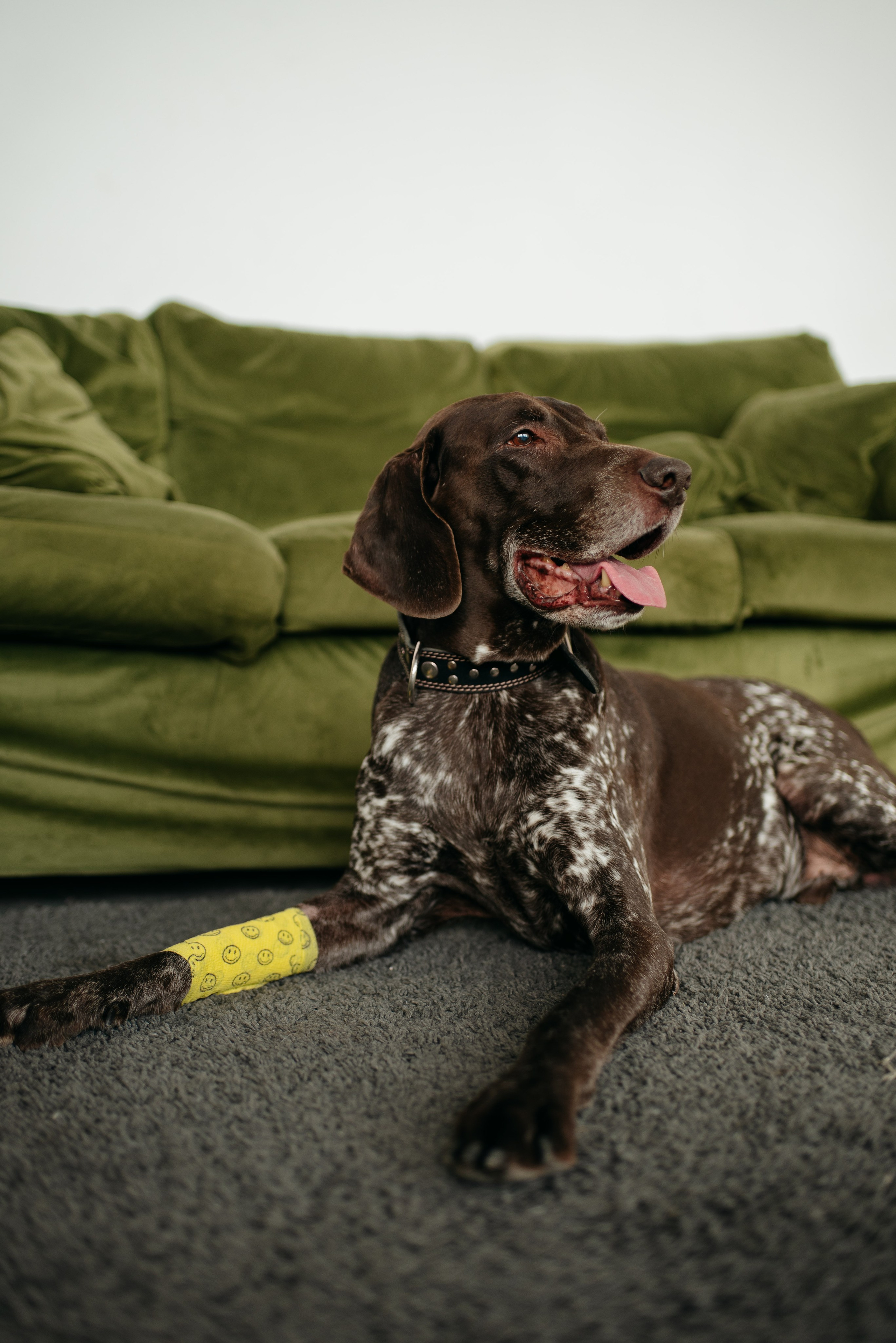 Елизавета & Максим. Обо мне